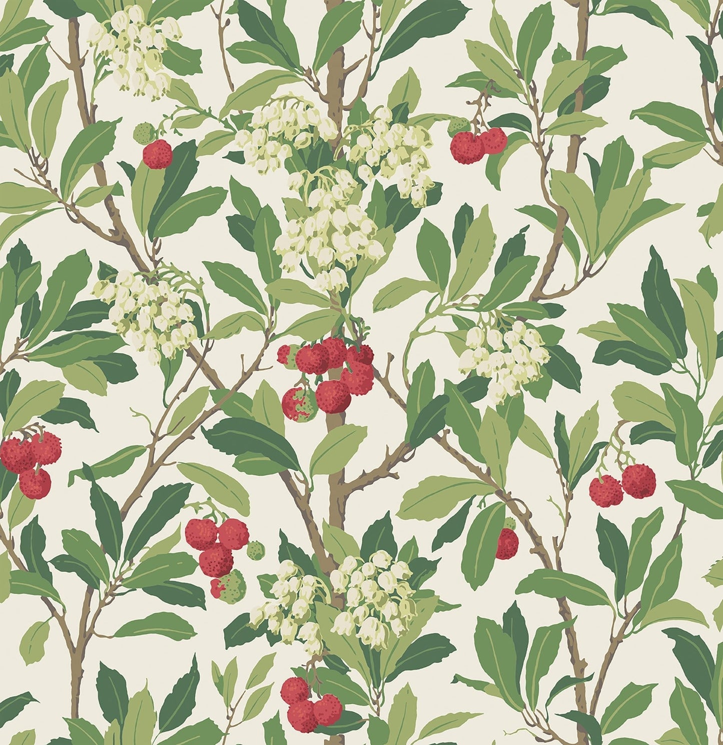 Cole & Son Strawberry Tree - Olive, Red & Leaf Green on White
