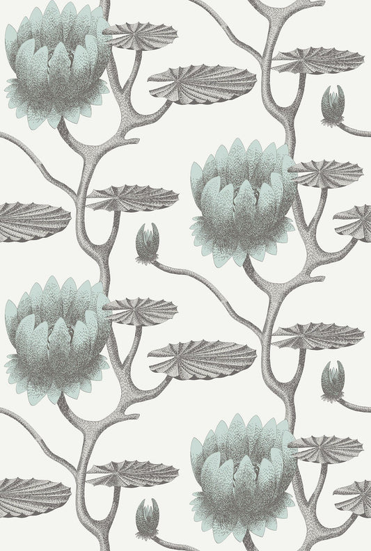Cole & Son Summer Lily wallpaper - Print Room Blue on Chalk