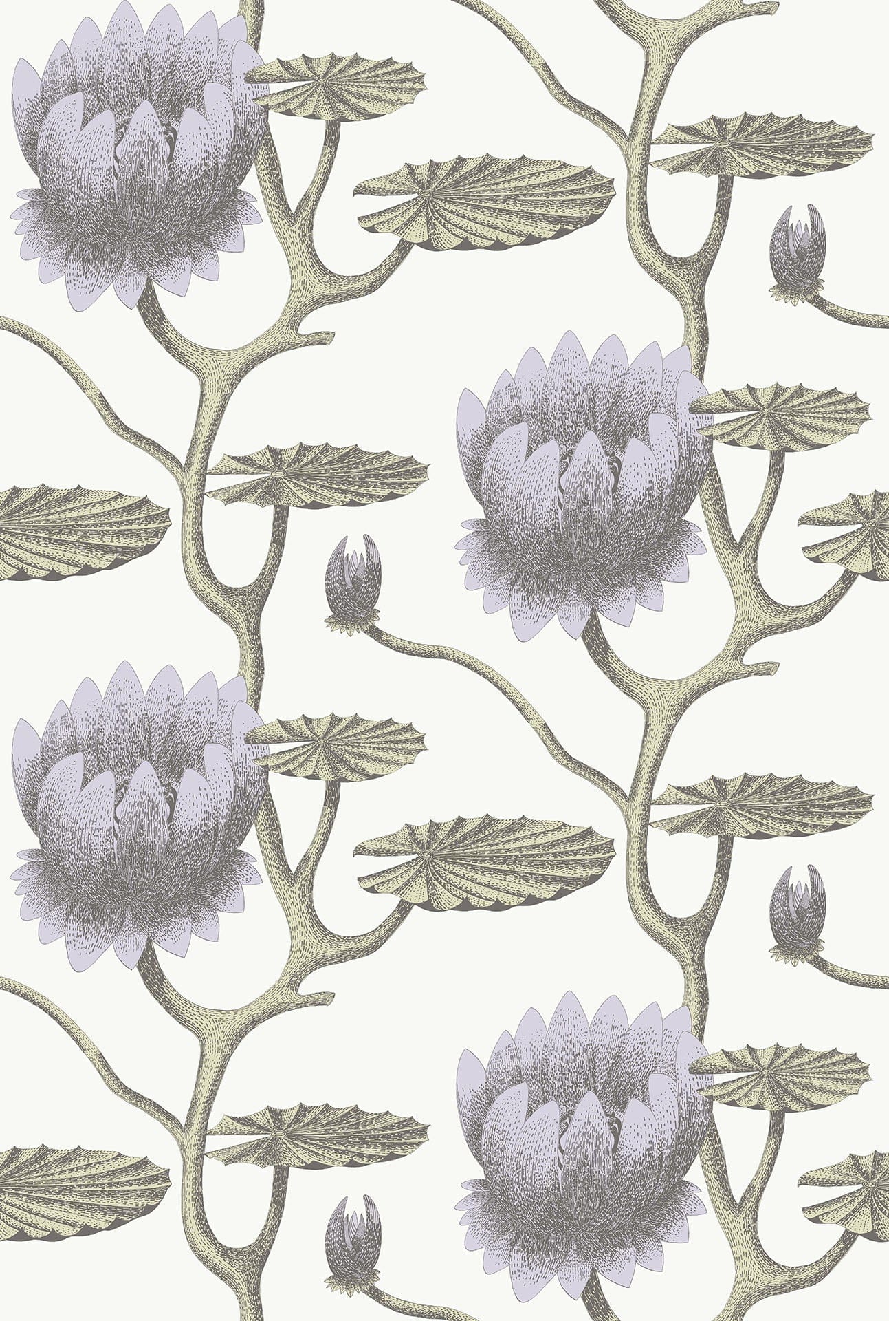 Cole & Son Summer Lily - Soft Purple on White
