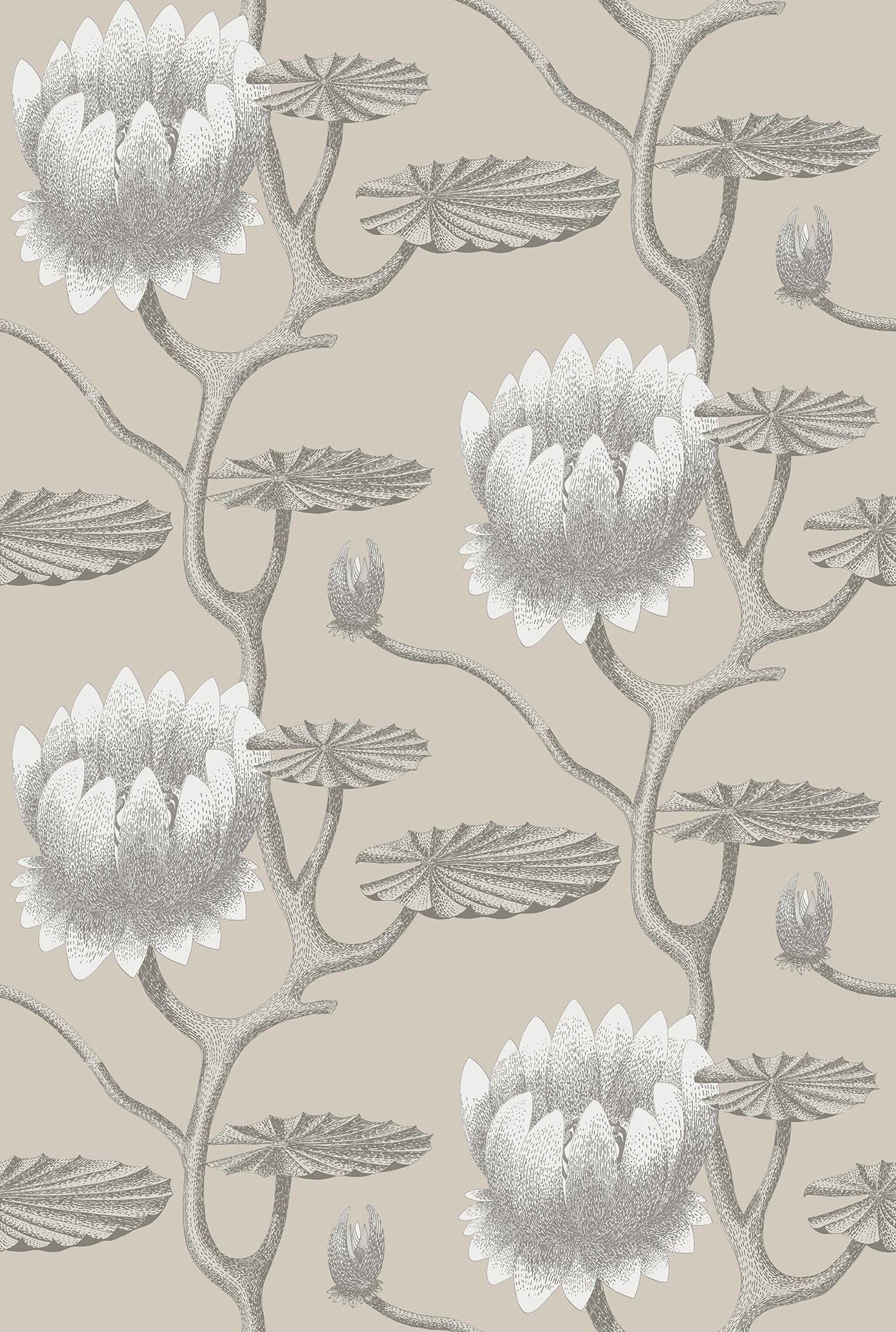 Cole & Son Summer Lily - White on Stone