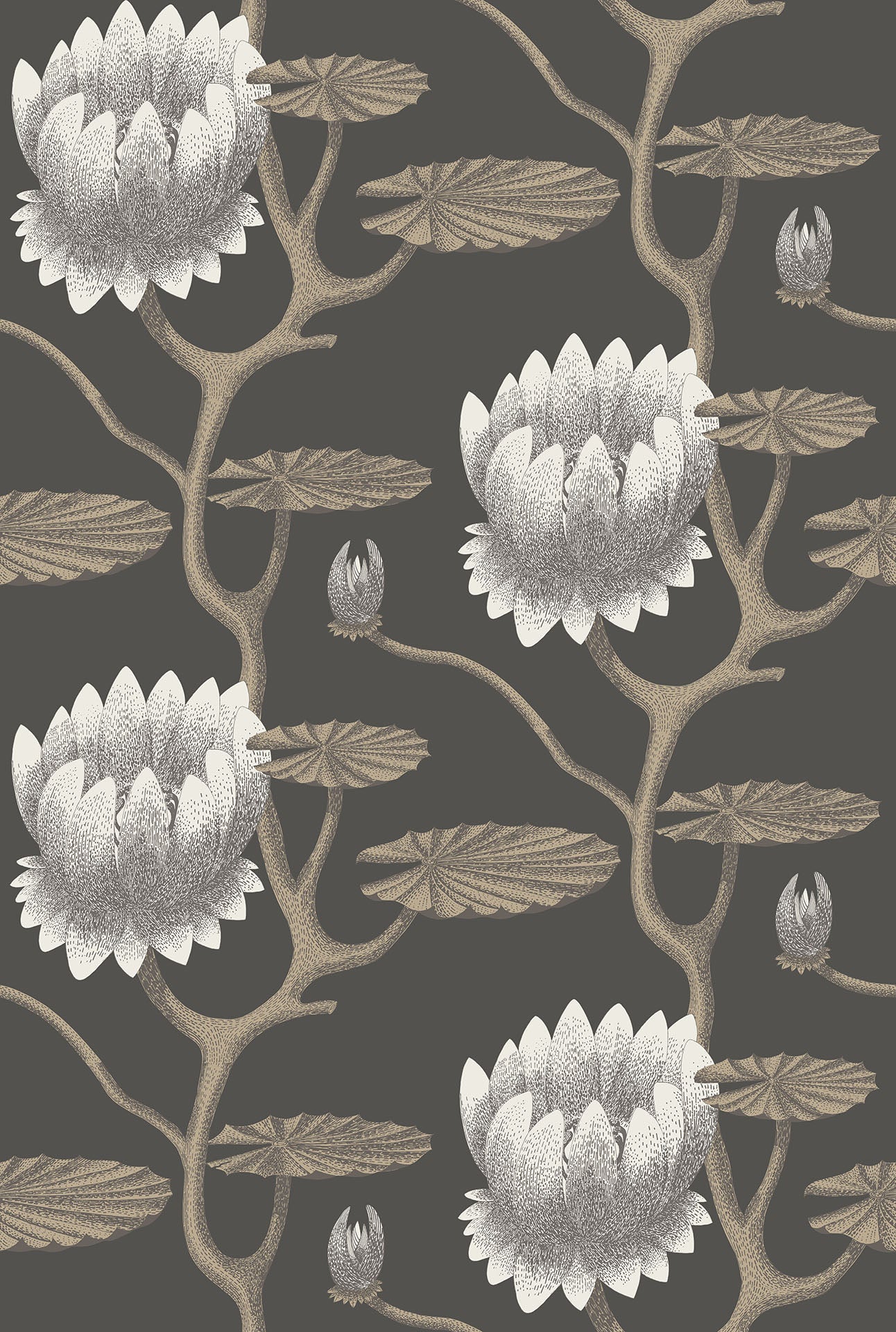 Cole & Son Summer Lily - White & Metallic Gilver on Charcoal