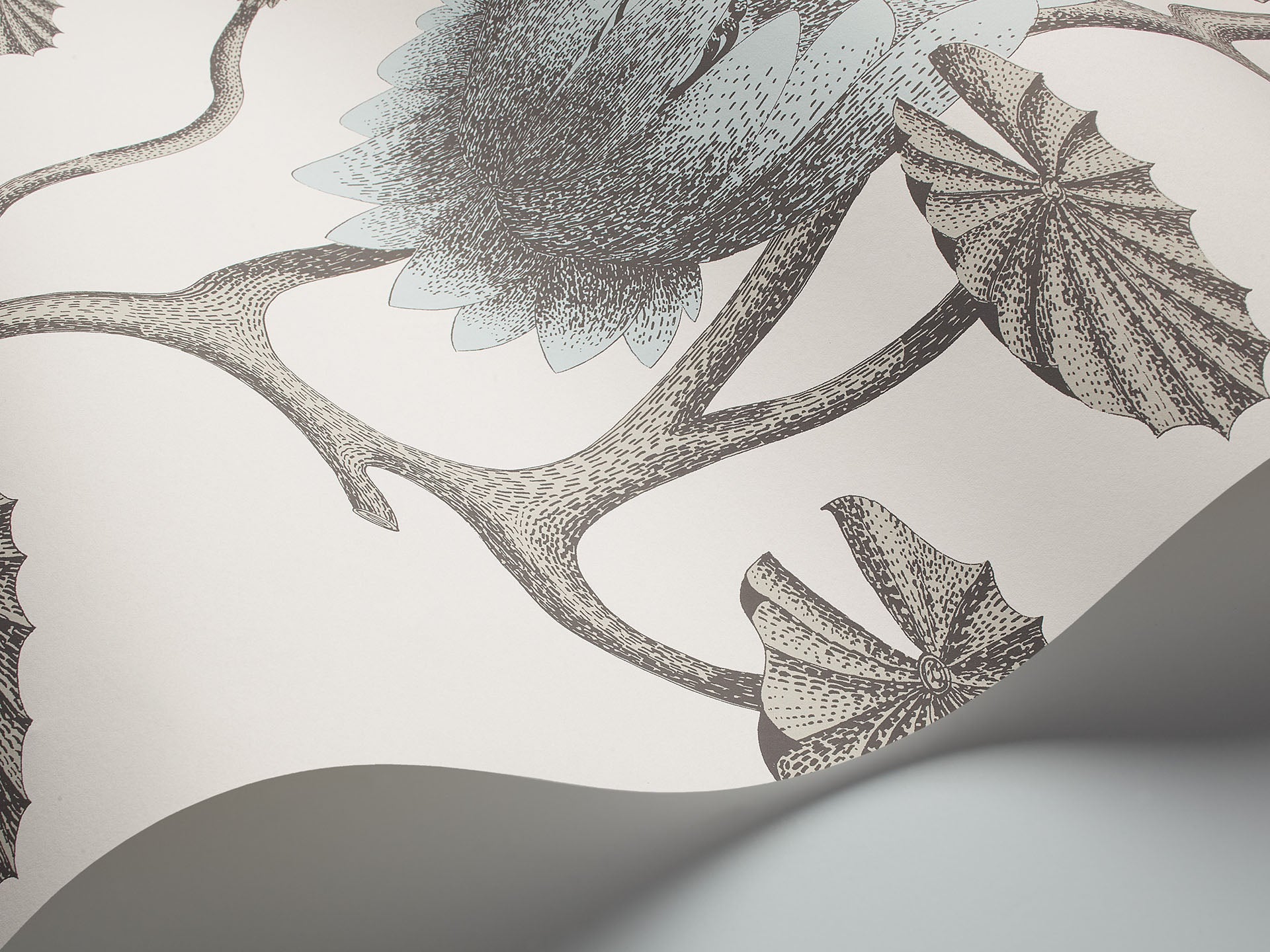 Cole & Son Summer Lily - interior