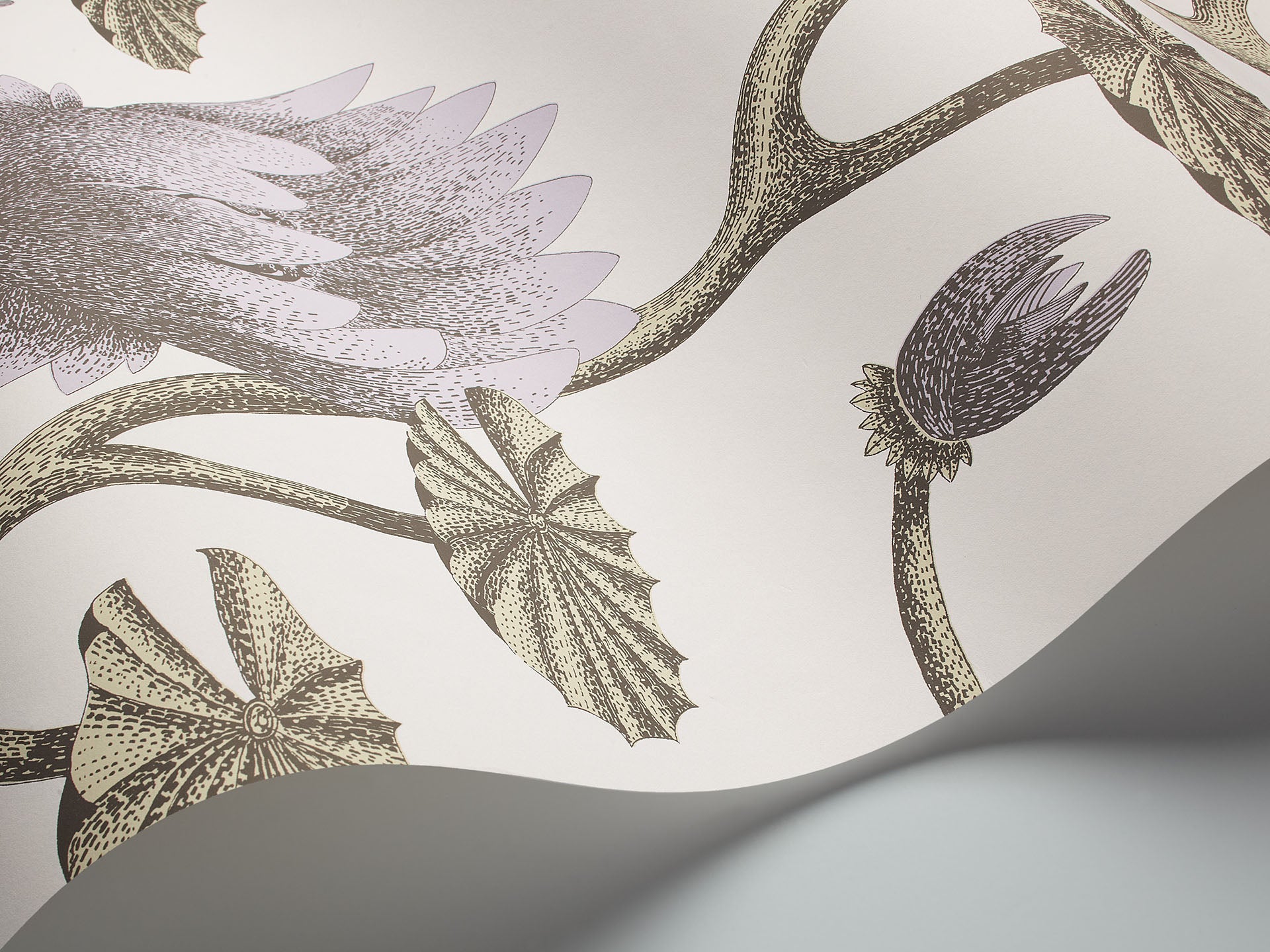 Cole & Son Summer Lily - interior