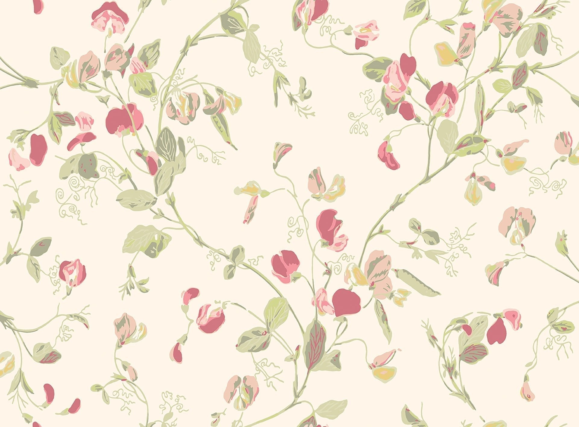 Cole & Son Sweet Pea - Coral & Olive on Cream