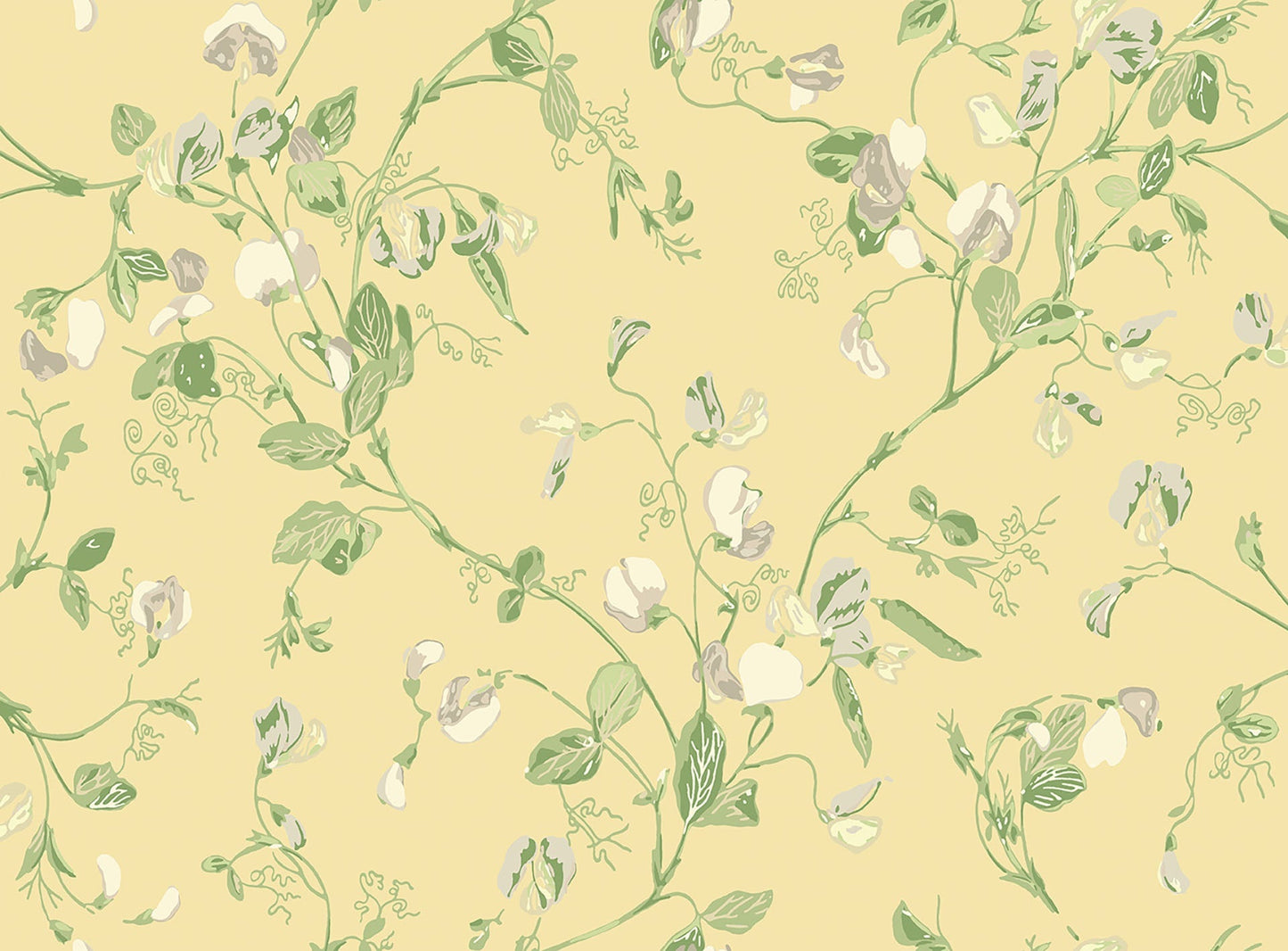 Cole & Son Sweet Pea - Grey & Lime on Yellow