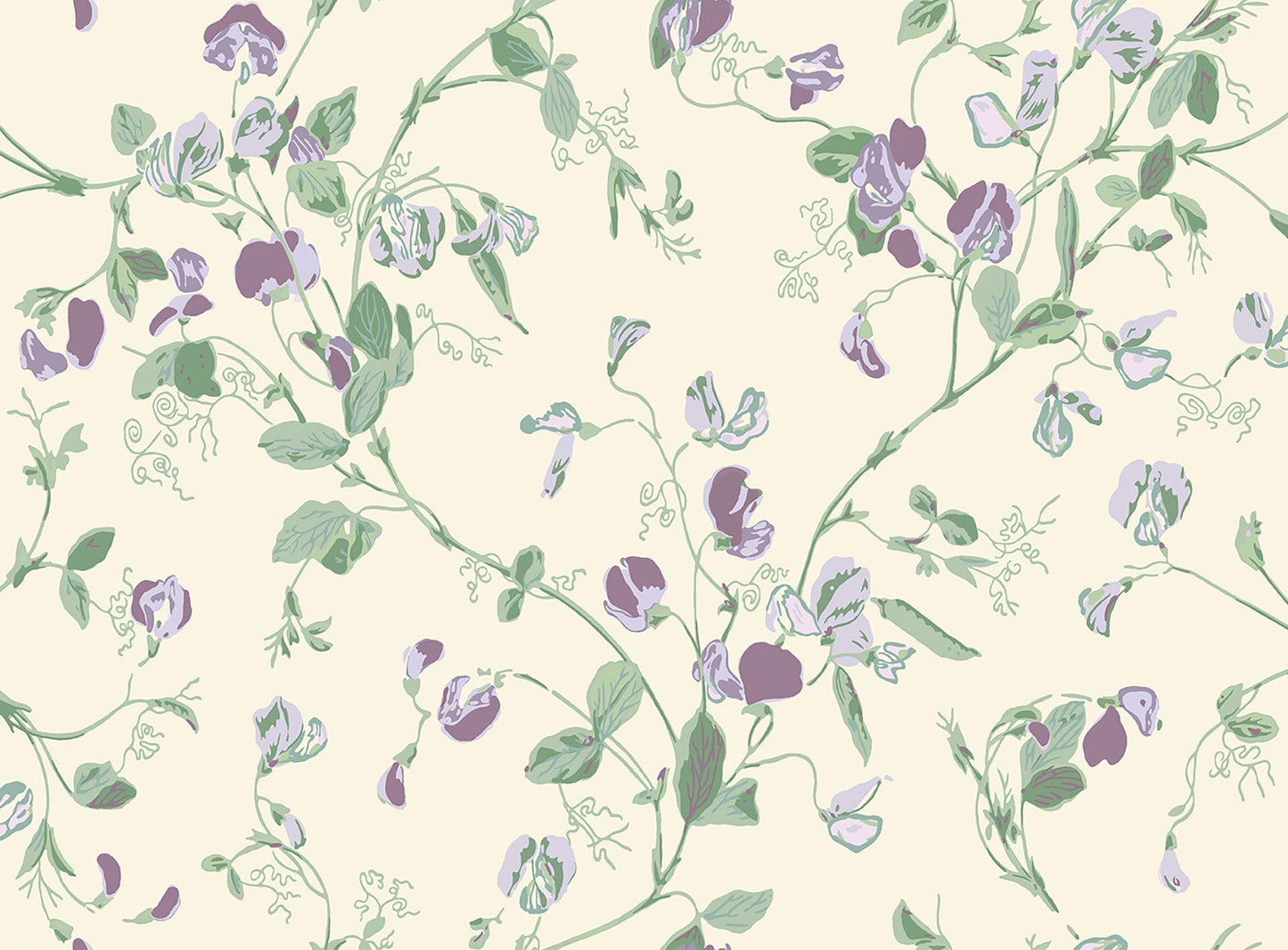 Cole & Son Sweet Pea - Mulberry & Sage on Cream