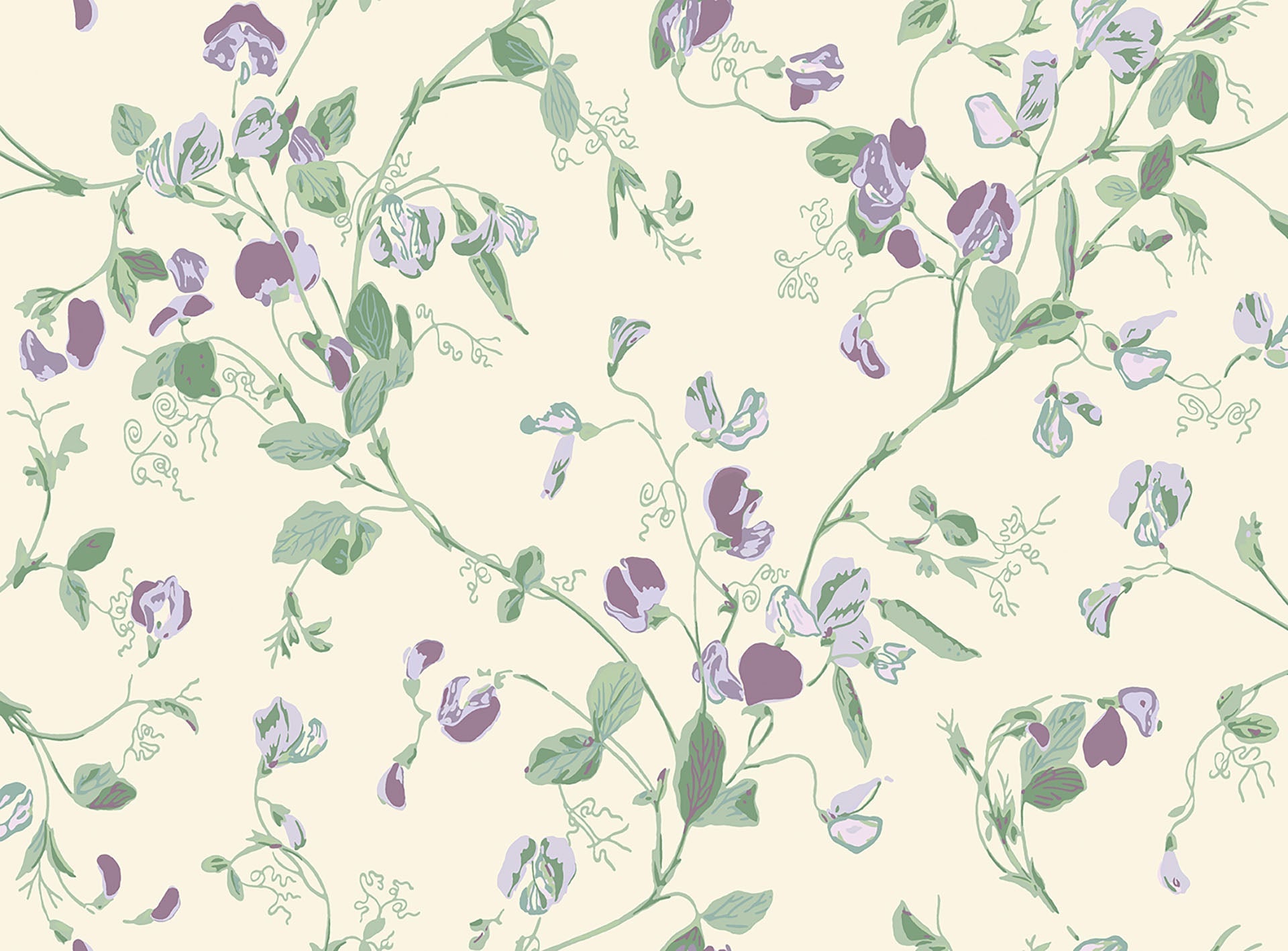 Cole & Son Sweet Pea - Mulberry & Sage on Cream