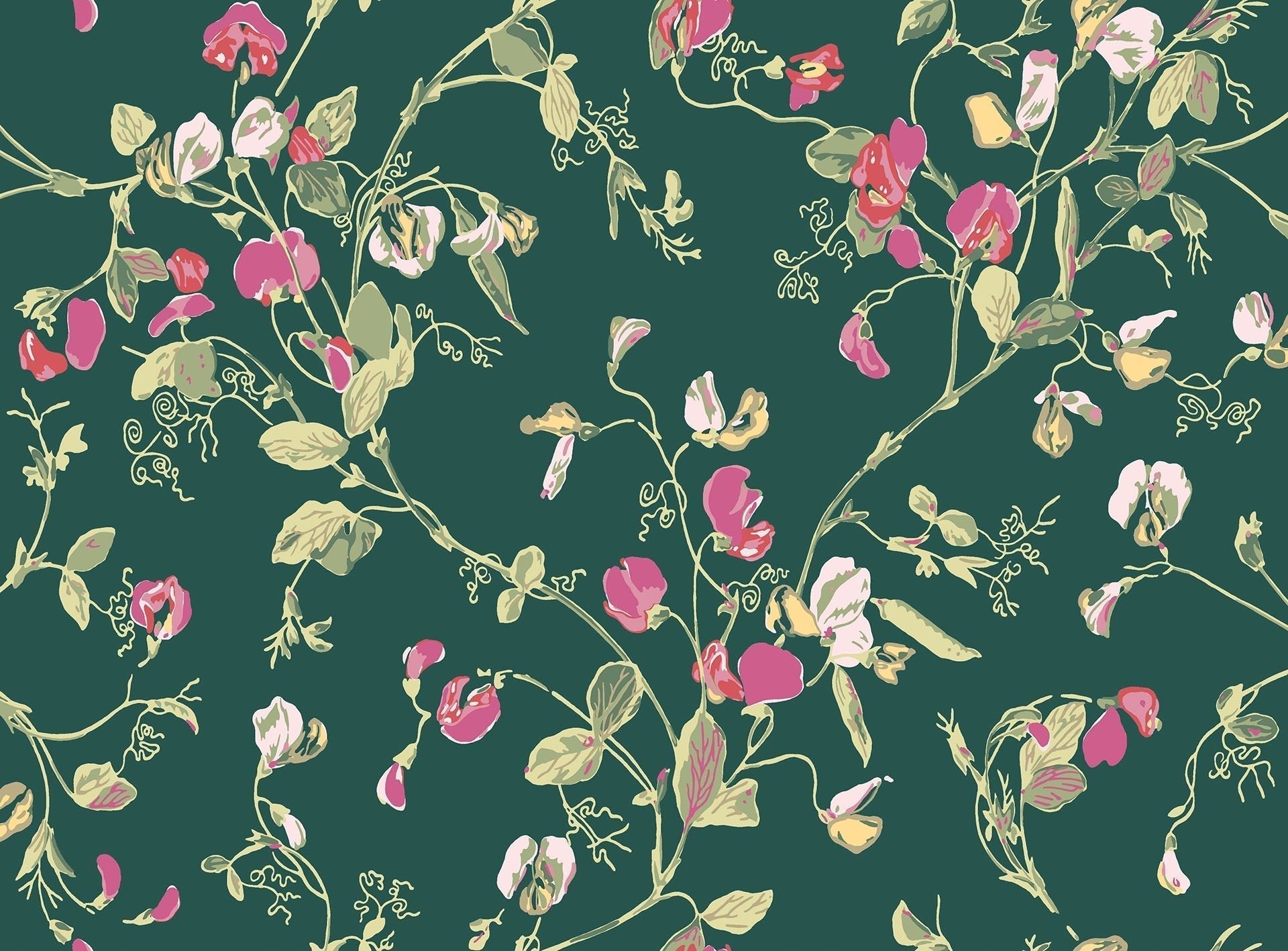 Cole & Son Sweet Pea - Cerise & Magenta on Dark Viridian
