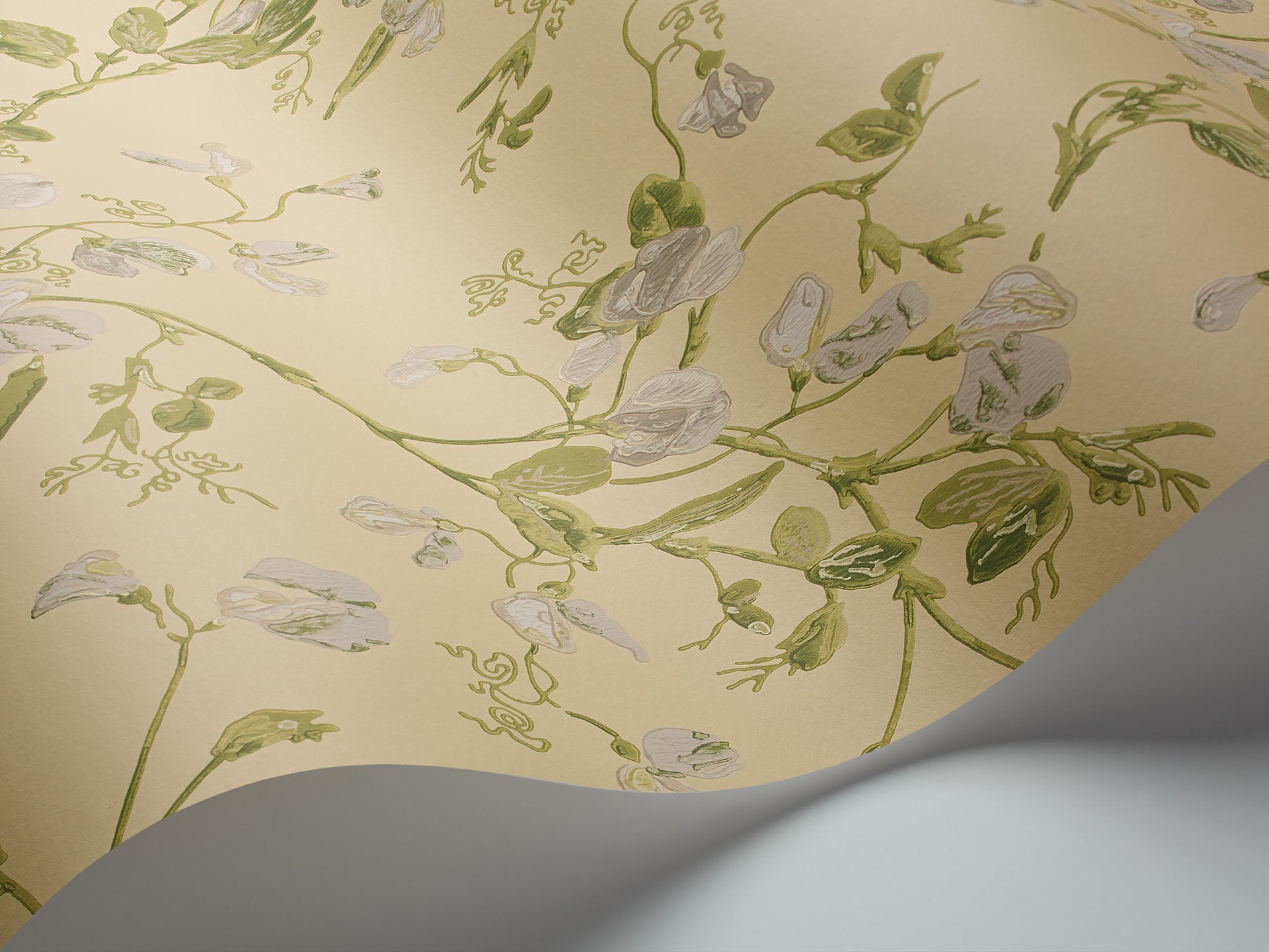 Cole & Son Sweet Pea - interior