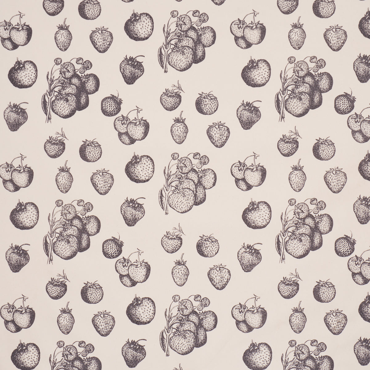 Schumacher | Strawberry Fields fabric - TL400080