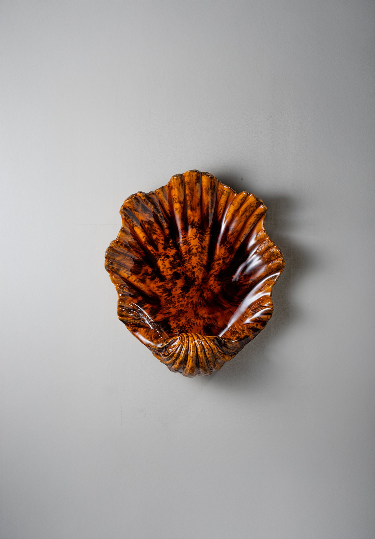 Scallop Ceramic Wall Light Small - Tigers Eye