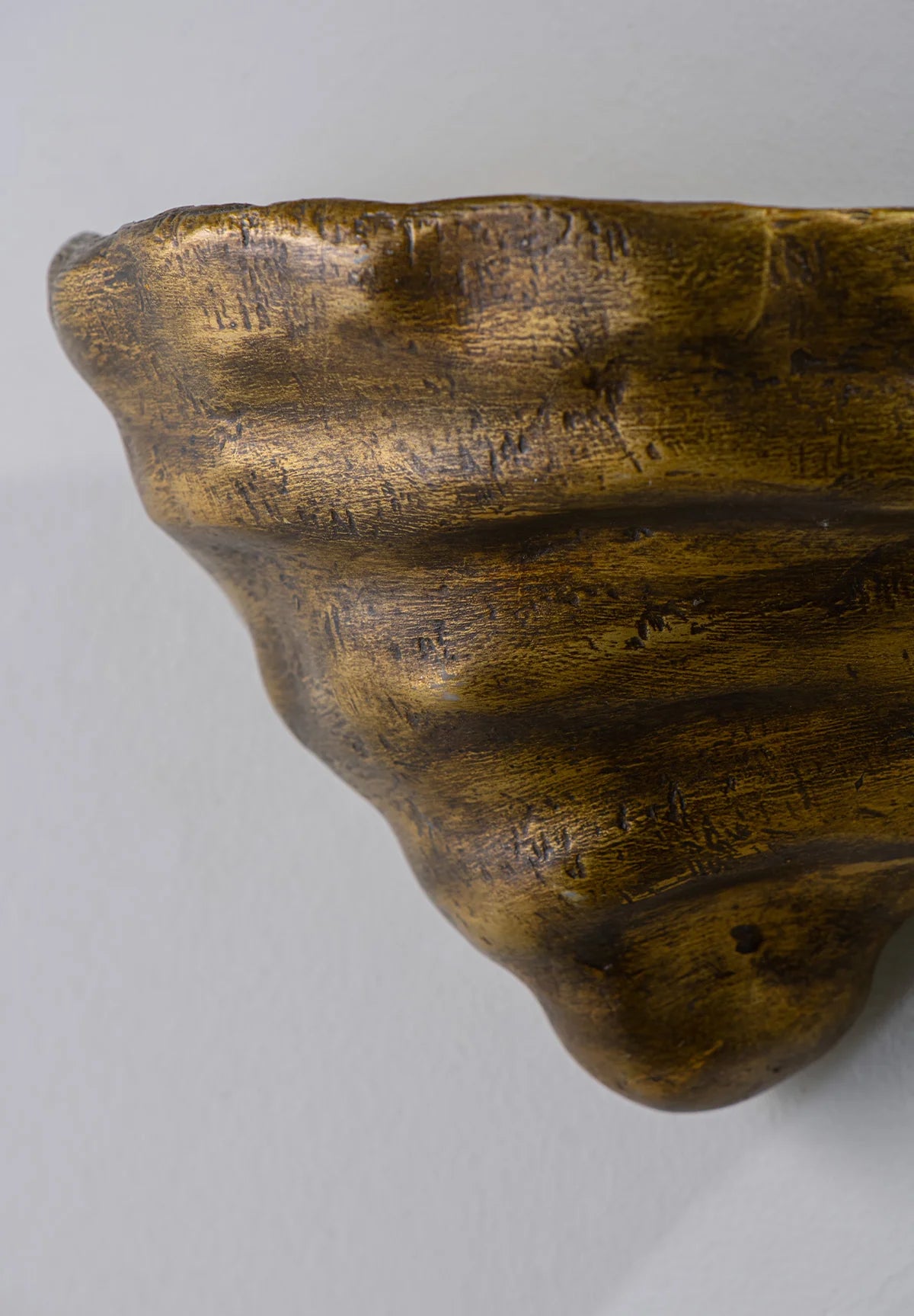Porta Romana | Mollusc Wall Light