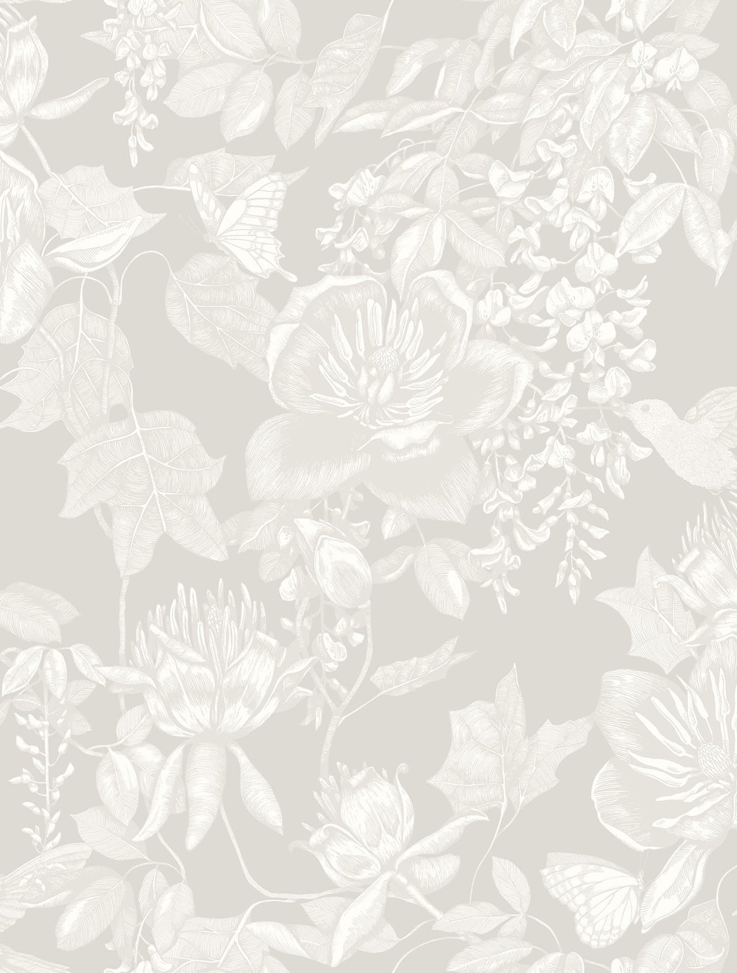 Cole & Son Tivoli - White on Grey