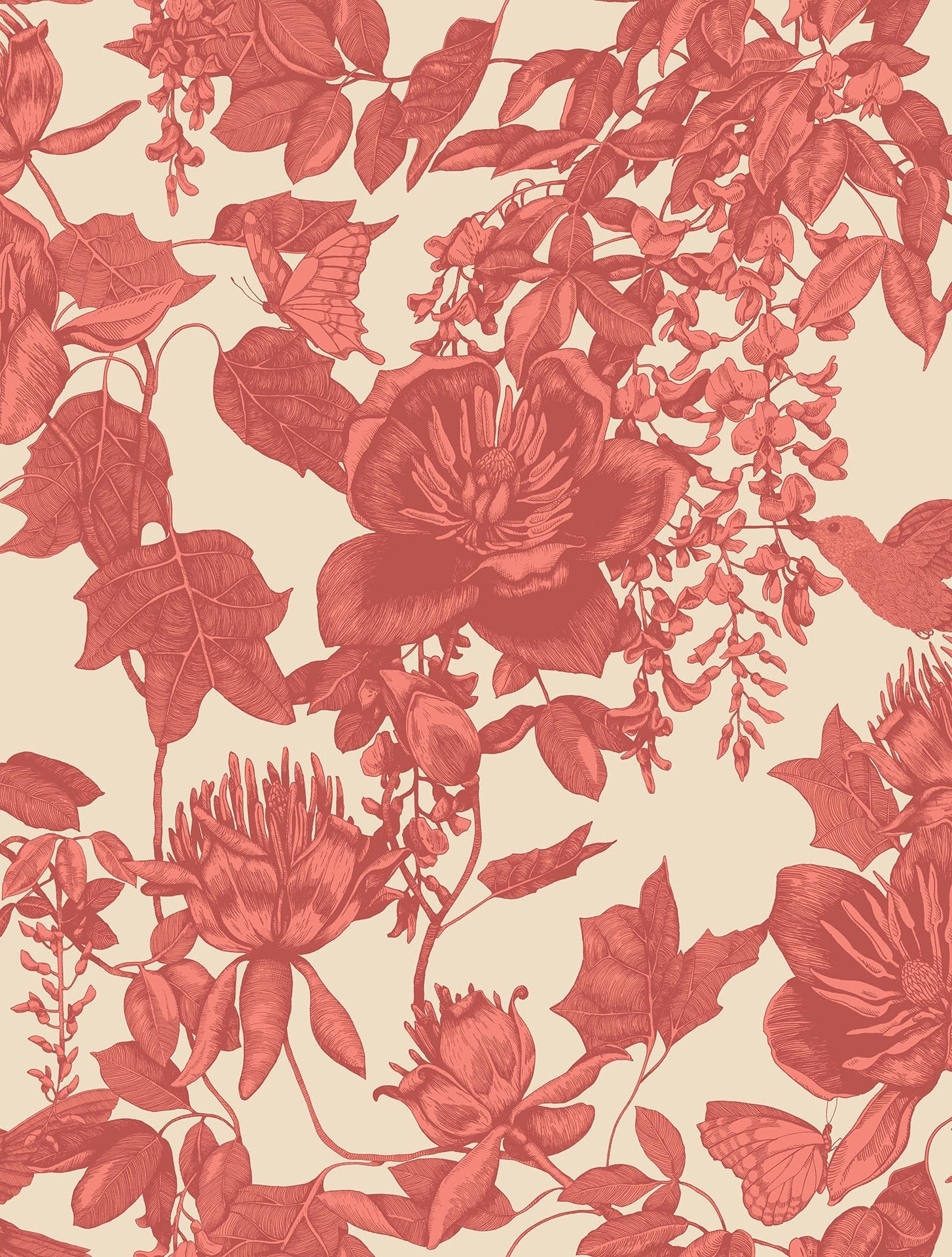 Cole & Son Tivoli - Red on Cream