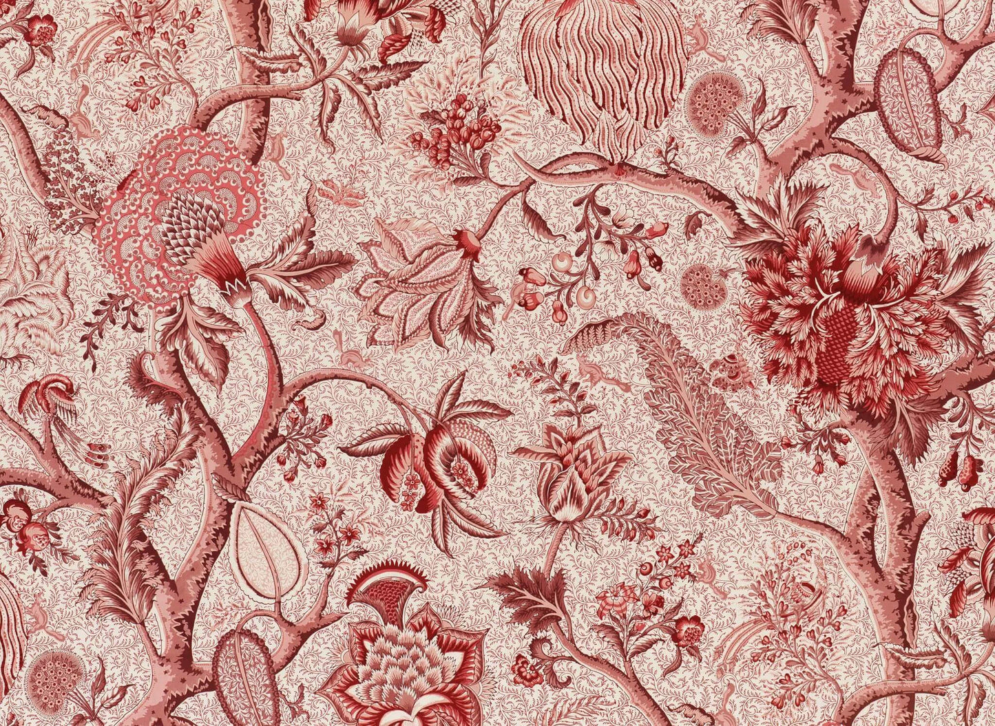 Pierre Frey Le Grand Corail Camaieux - Rose Ancien