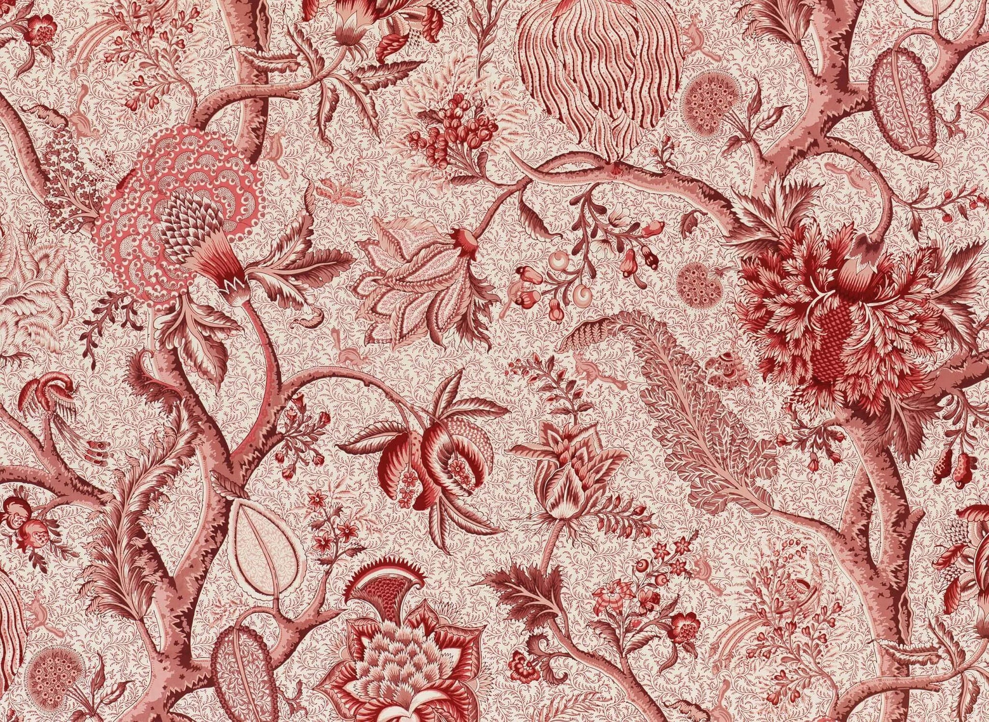 Pierre Frey Le Grand Corail Camaieux - Rose Ancien