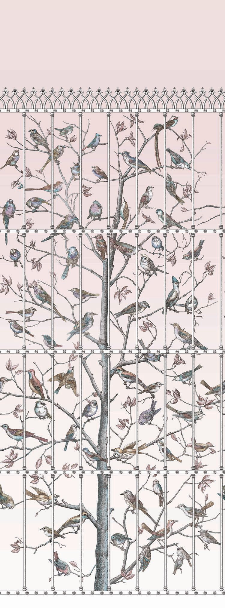 Cole & Son Uccelli wallpaper - Ballet Slipper