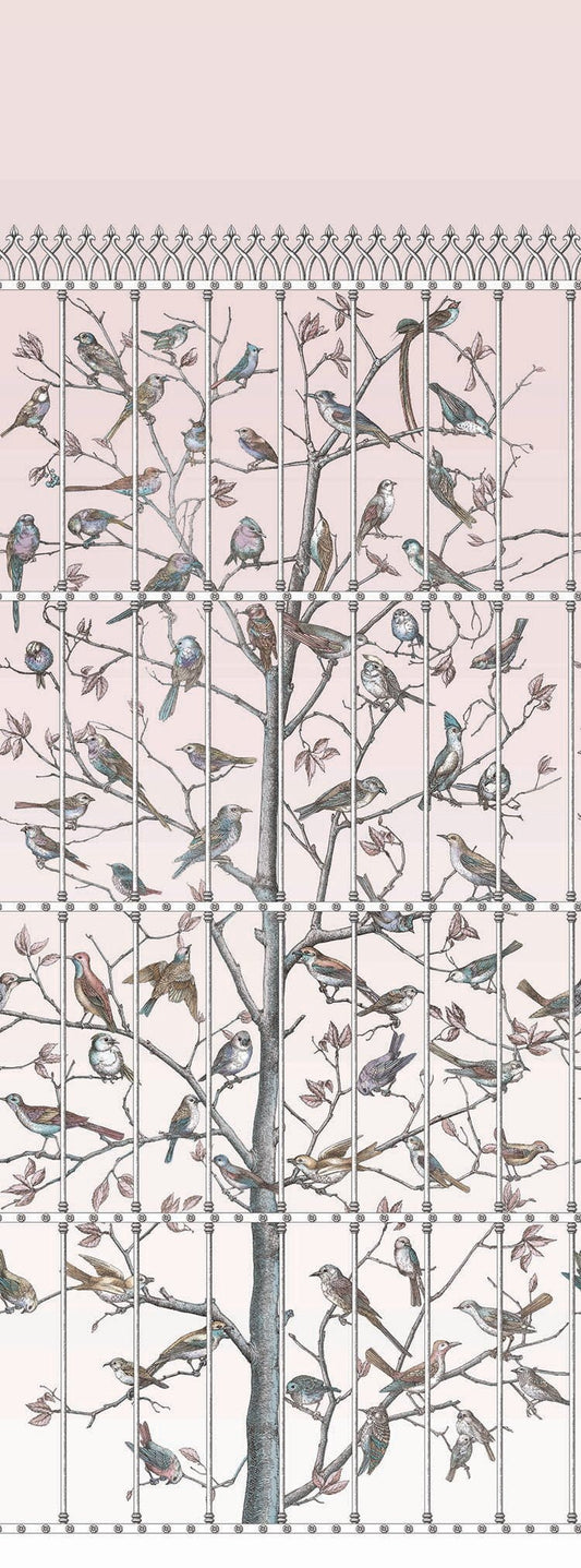 Cole & Son Uccelli wallpaper - Ballet Slipper