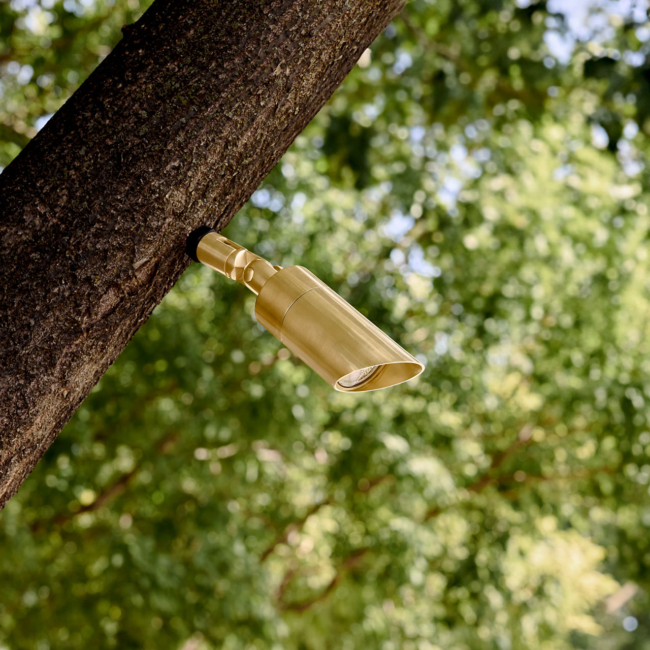 Visual Comfort | Arbor Tree Mount Screw-In