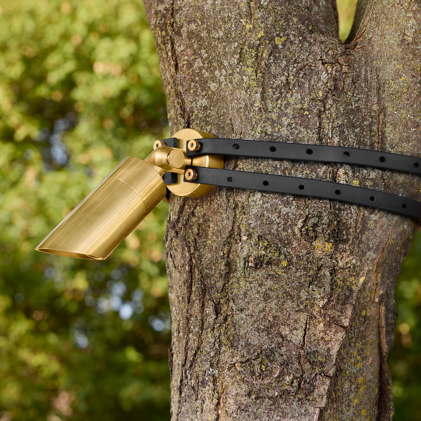 Visual Comfort | Arbor Bungee Strap