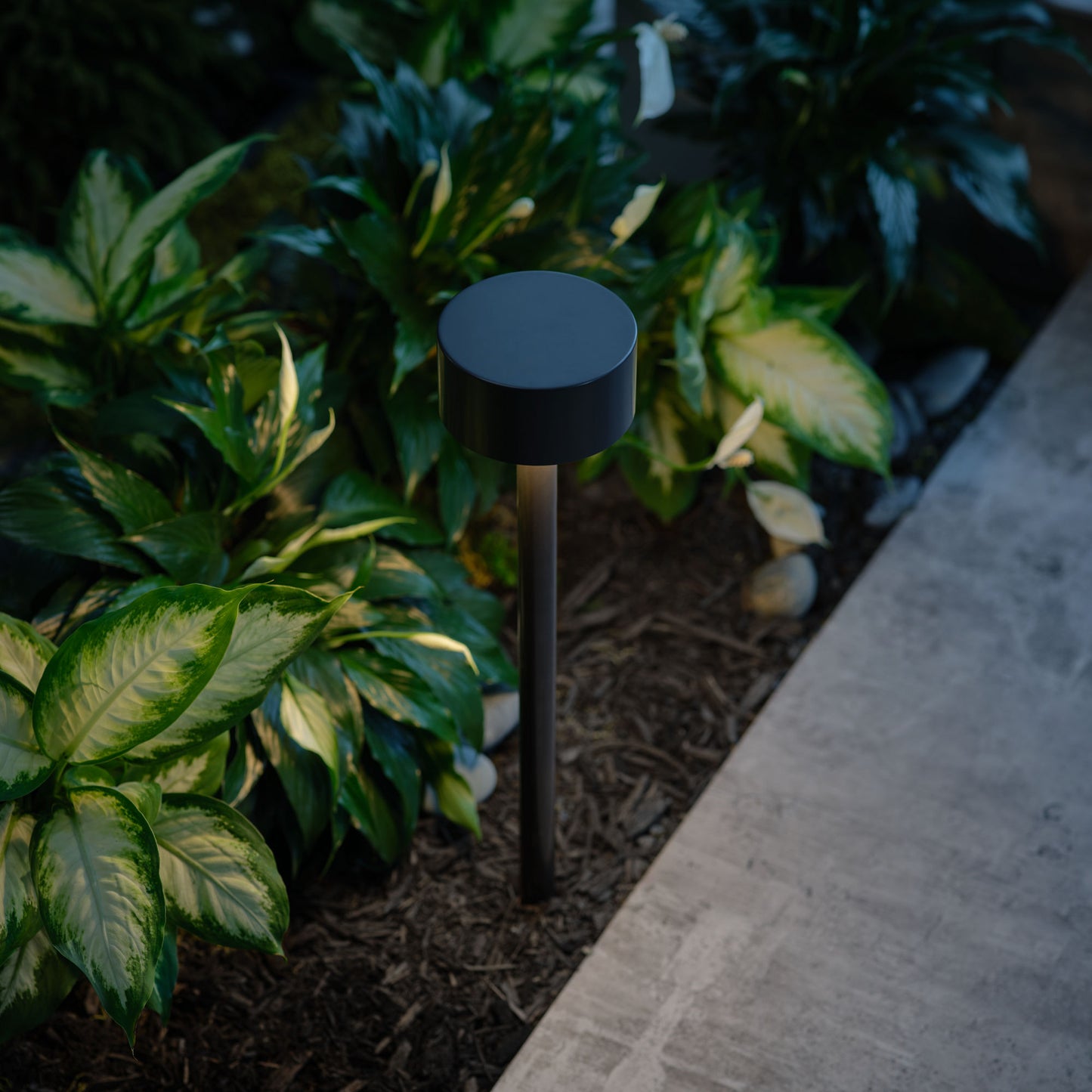 Visual Comfort | Sentinel Shallow Path & Area Light