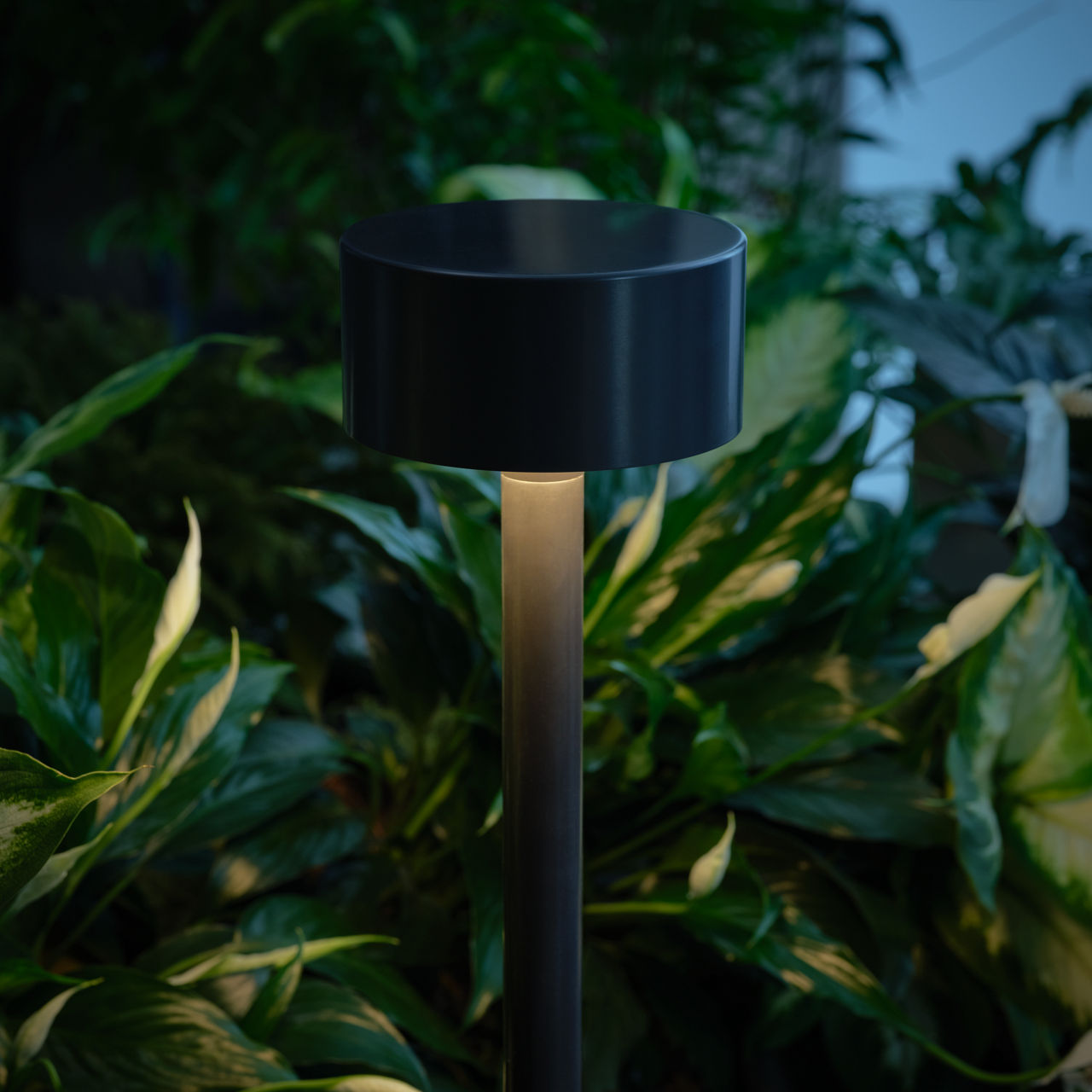 Visual Comfort | Sentinel Shallow Path & Area Light