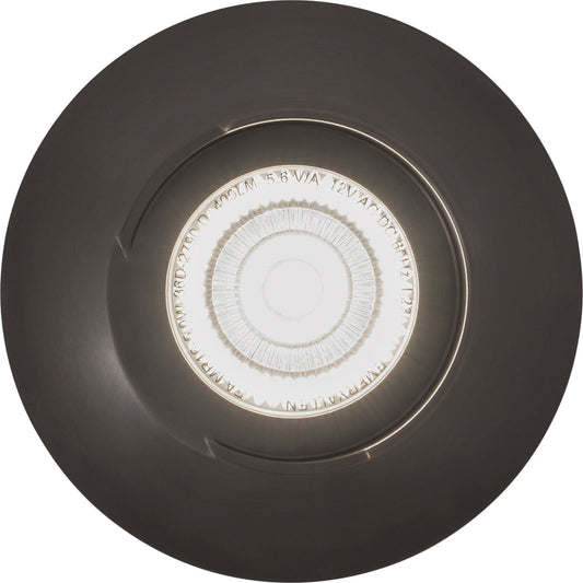 Visual Comfort | Shaver 16 Fixed with Shroud In-Grade Light
