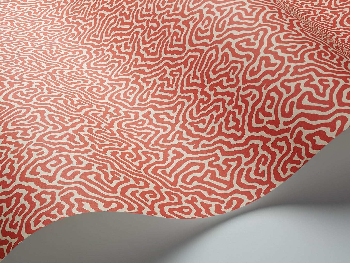 Cole & Son Vermicelli - interior