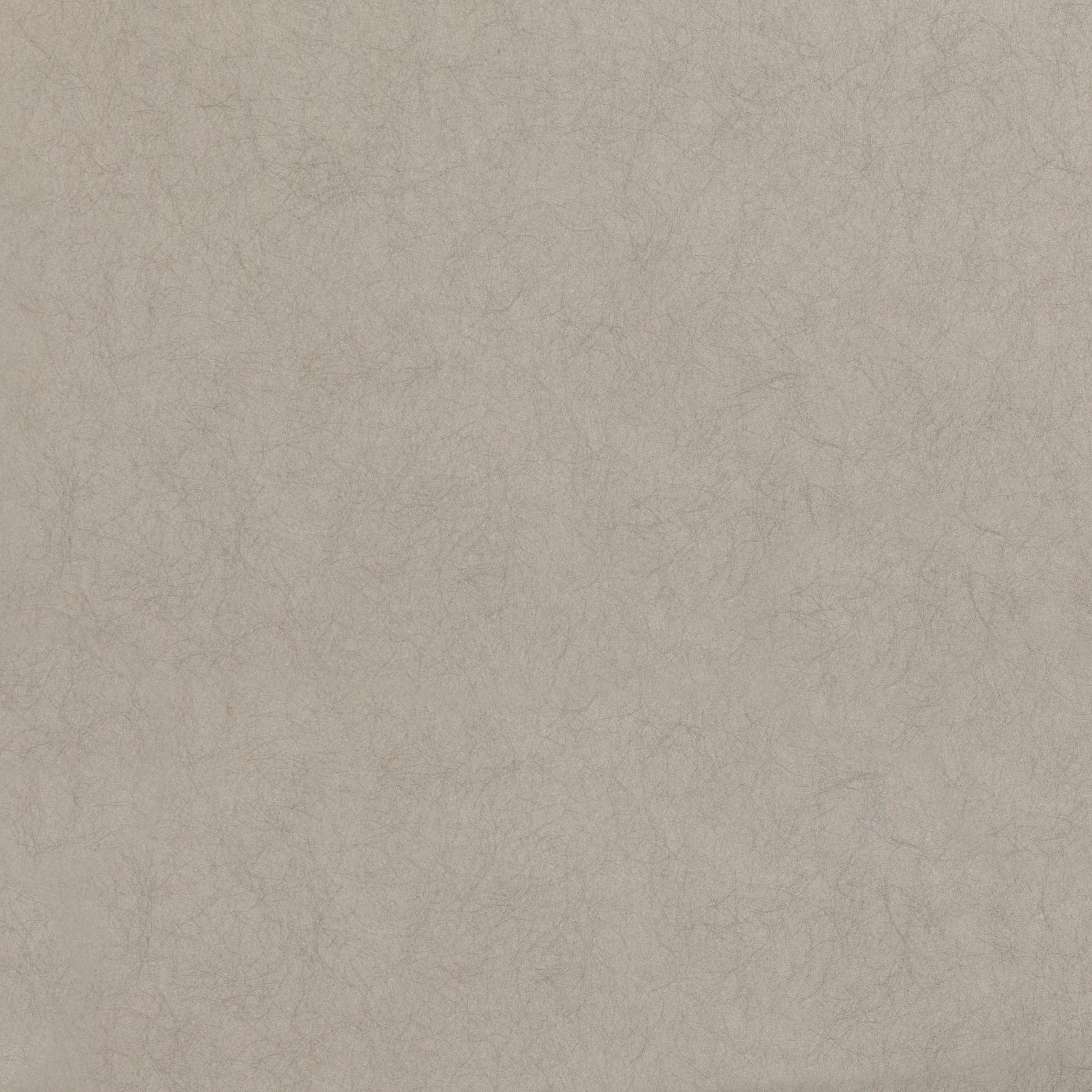 Pierre Frey Romo | Merletto Wallcovering – Indium — scenography