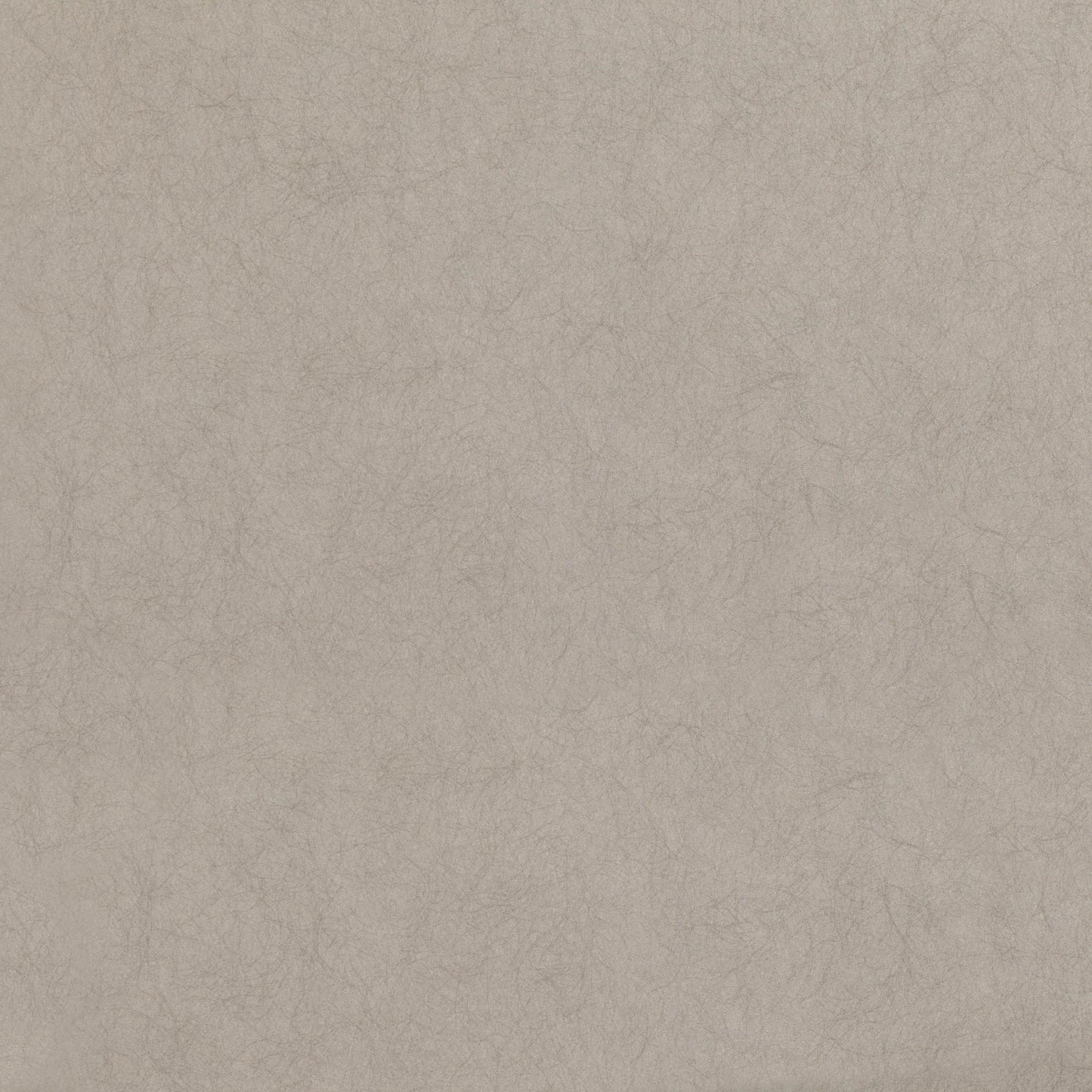 Romo | Asper Wallcovering – Indium