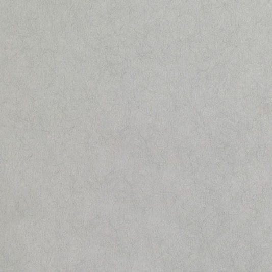 Romo | Asper Wallcovering – Silver