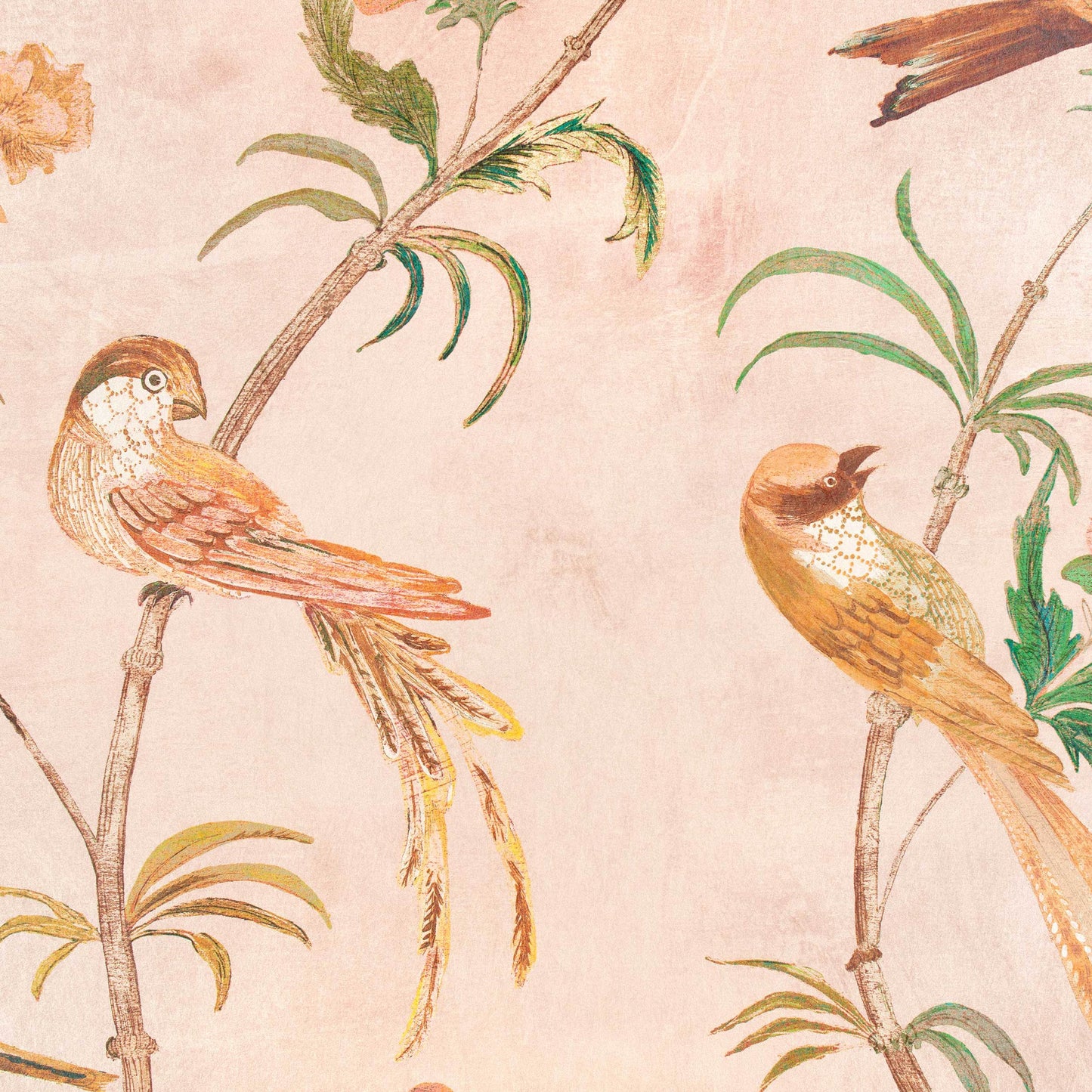 Romo | Pluma Wallcovering – Blush