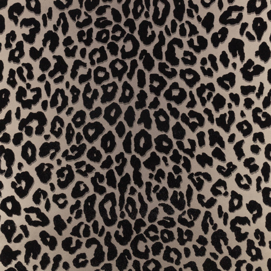 Romo | Mimi Wallcovering – Kohl