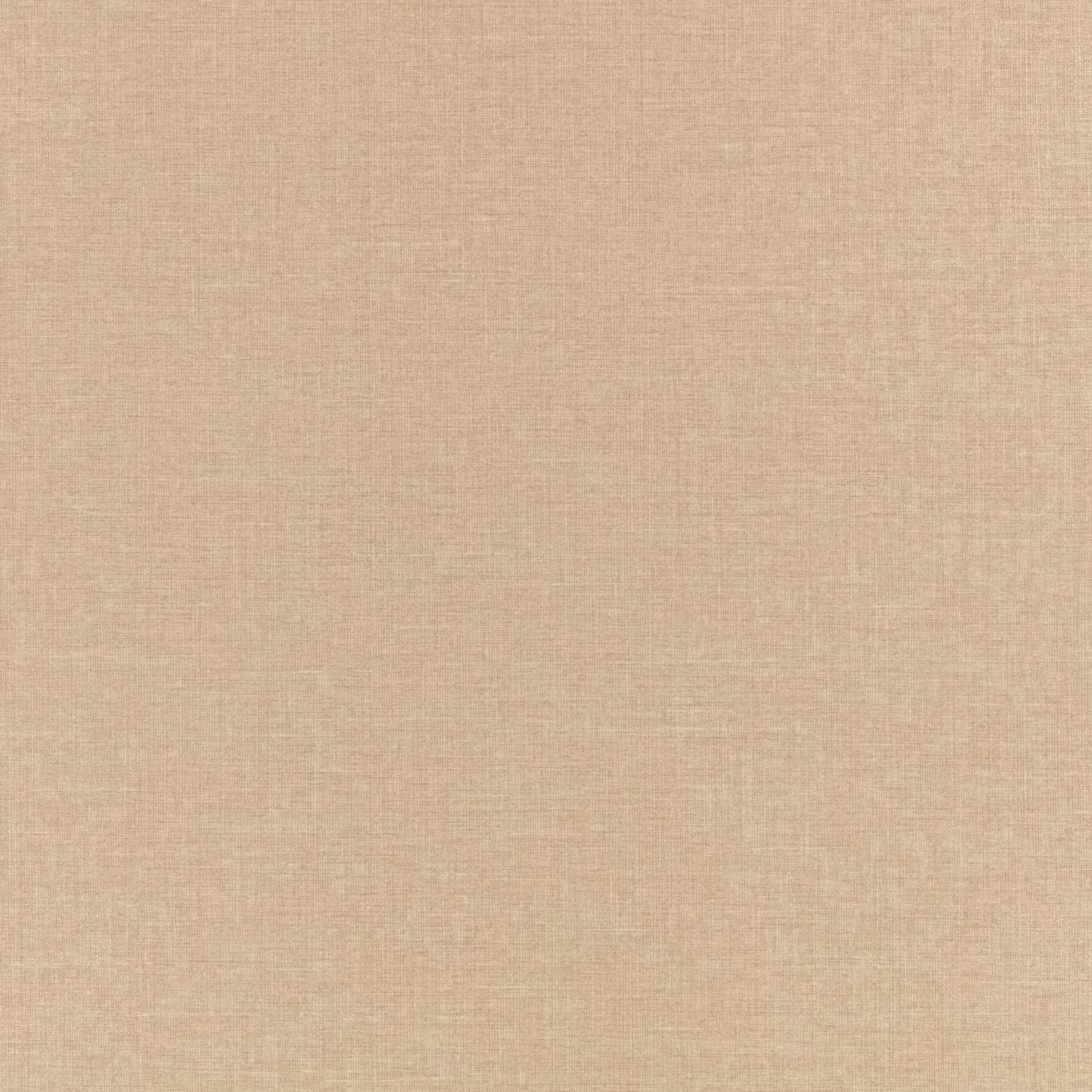 Pierre Frey Romo | Ciro Embossed Wallcovering – Wild Rose — scenography