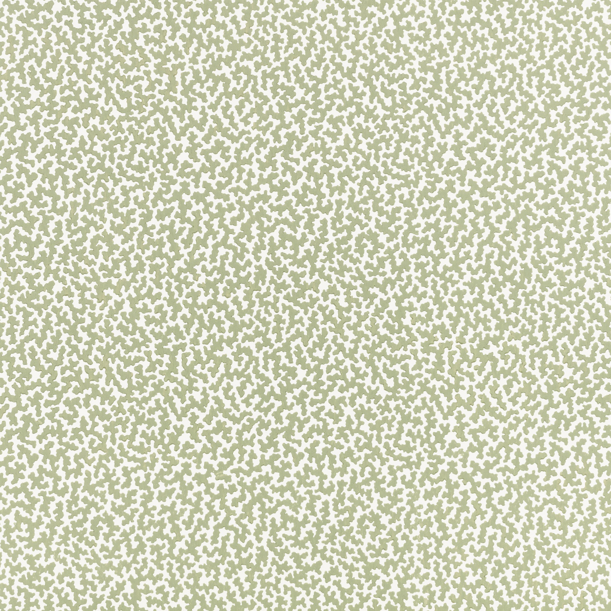 Pierre Frey Romo | Alma Wallcovering – Aloe — scenography