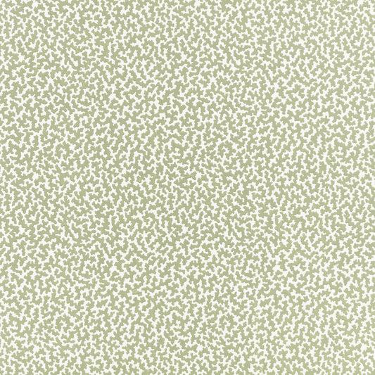 Romo | Junie Wallcovering – Aloe