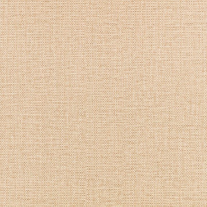 Romo Neri Raffia Wallcovering in Twine