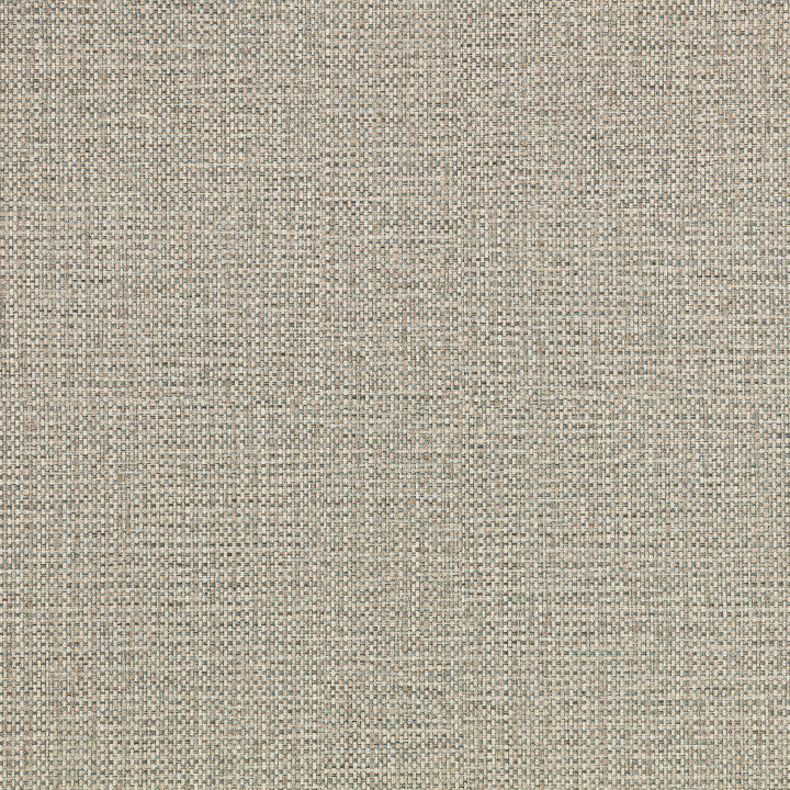 Romo Neri Raffia Wallcovering in Seaglass