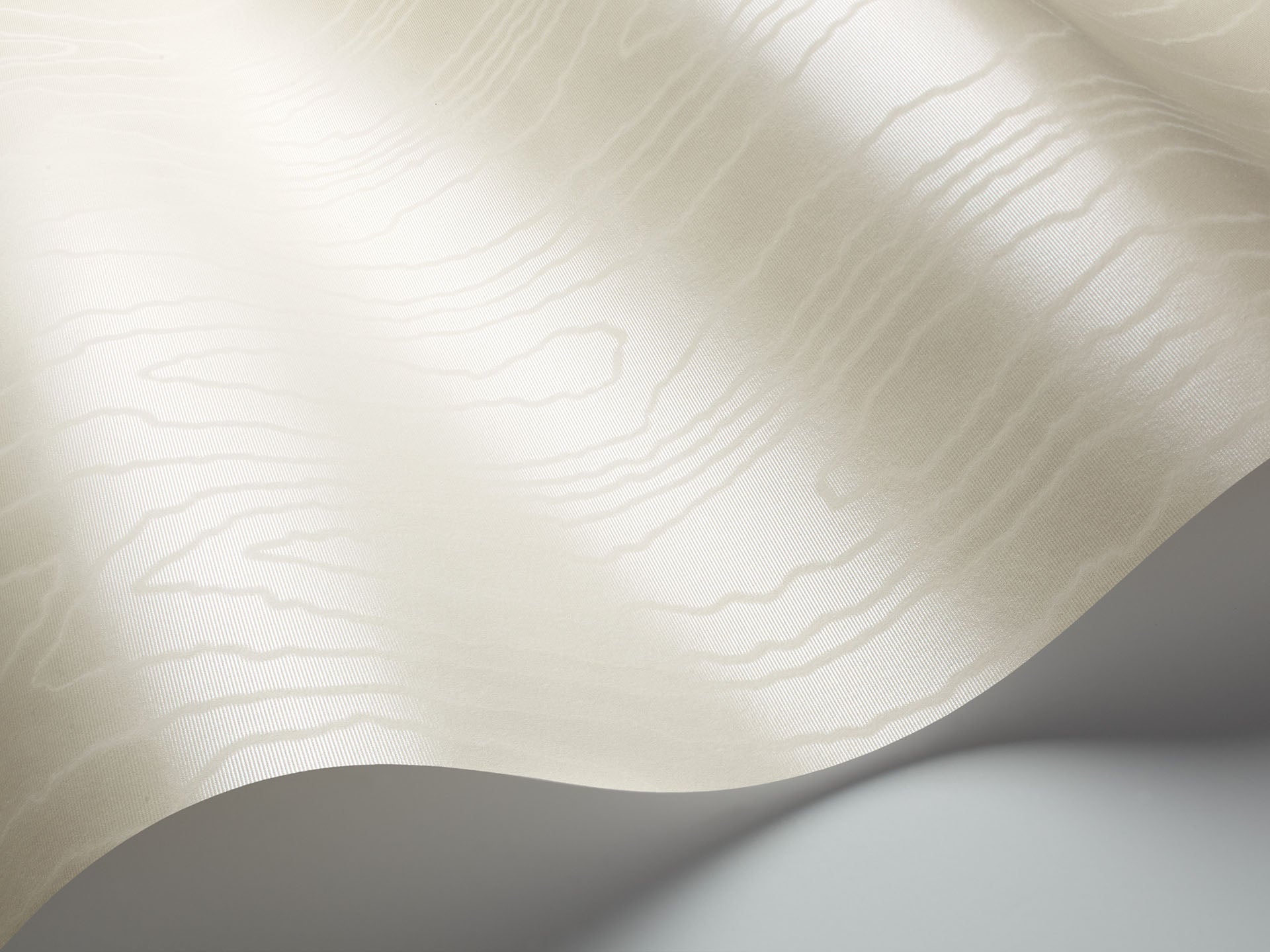 Cole & Son Watered Silk - interior