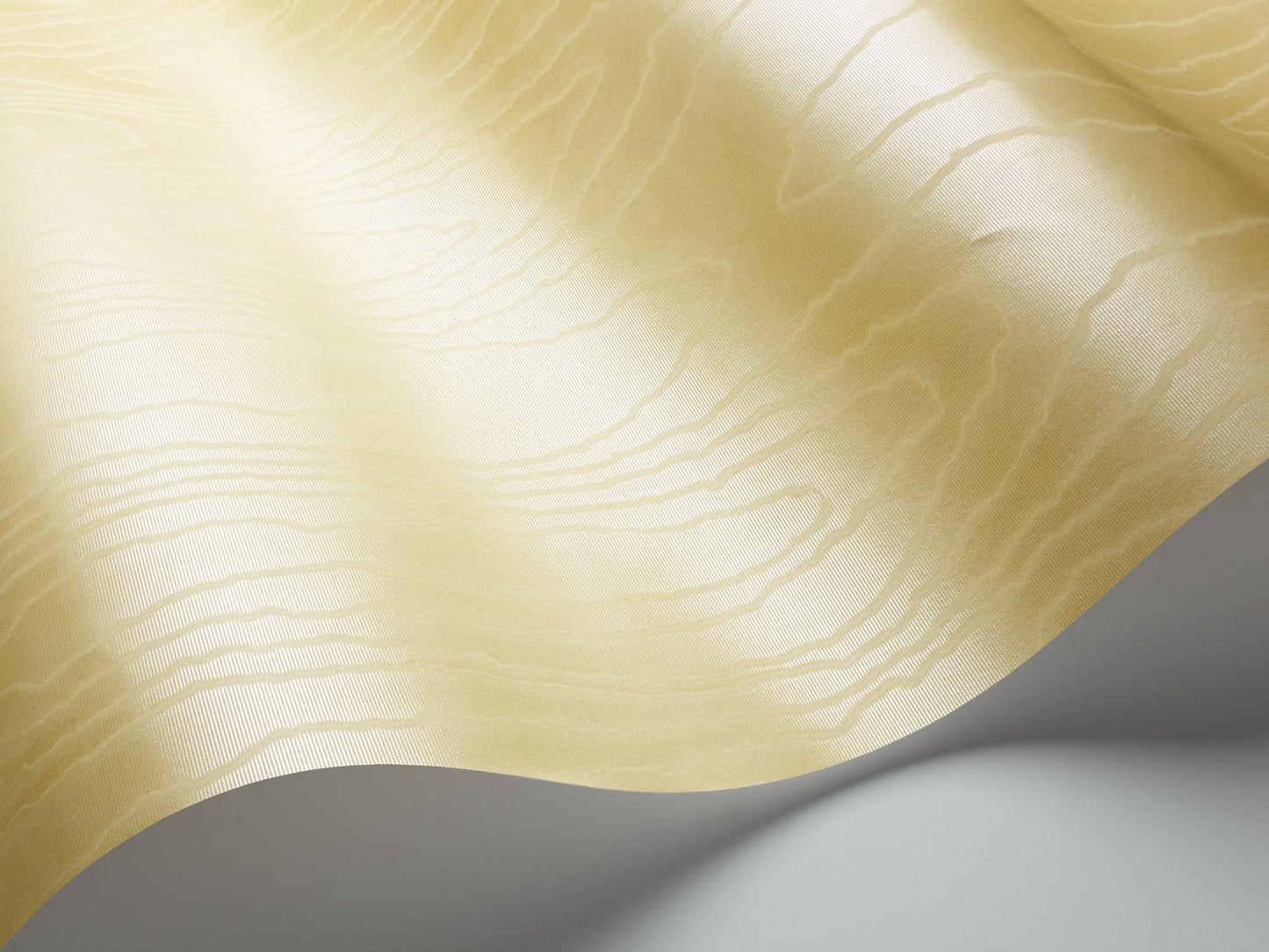 Cole & Son Watered Silk - interior