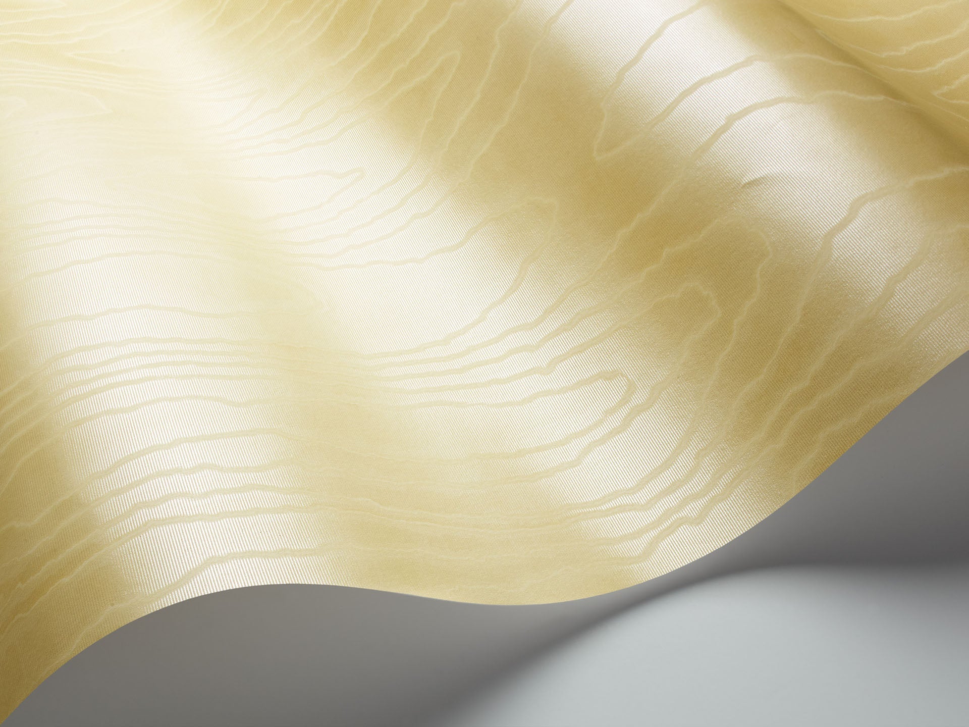 Cole & Son Watered Silk - interior