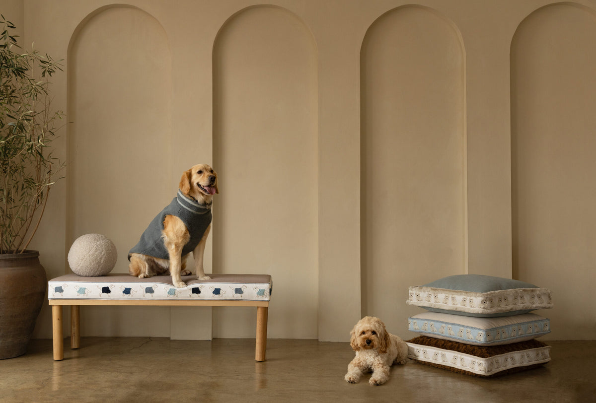 Samuel and Sons Inca Brush Fringe — scenography