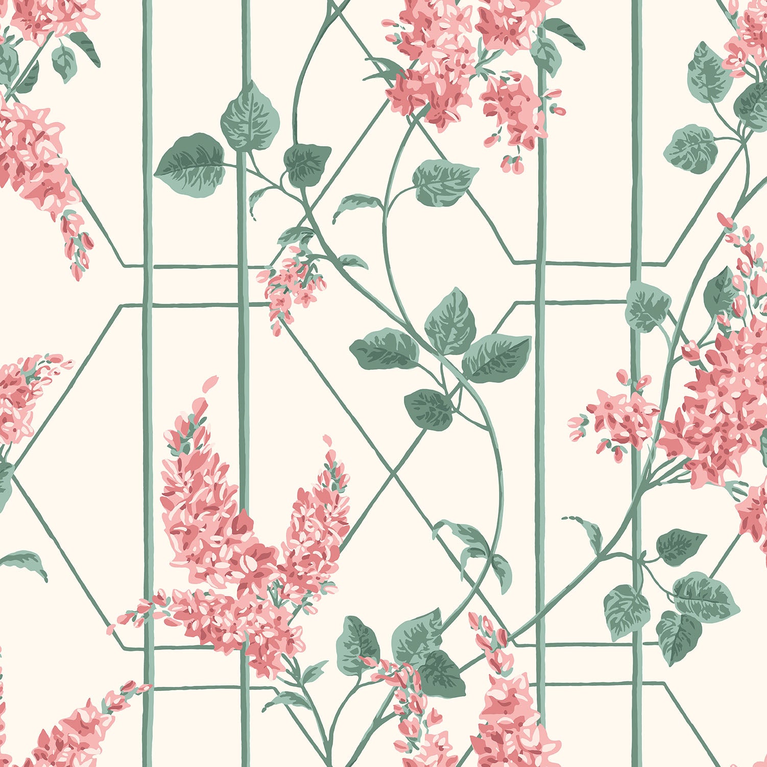 Cole & Son Wisteria wallpaper - Coral & Sage on White