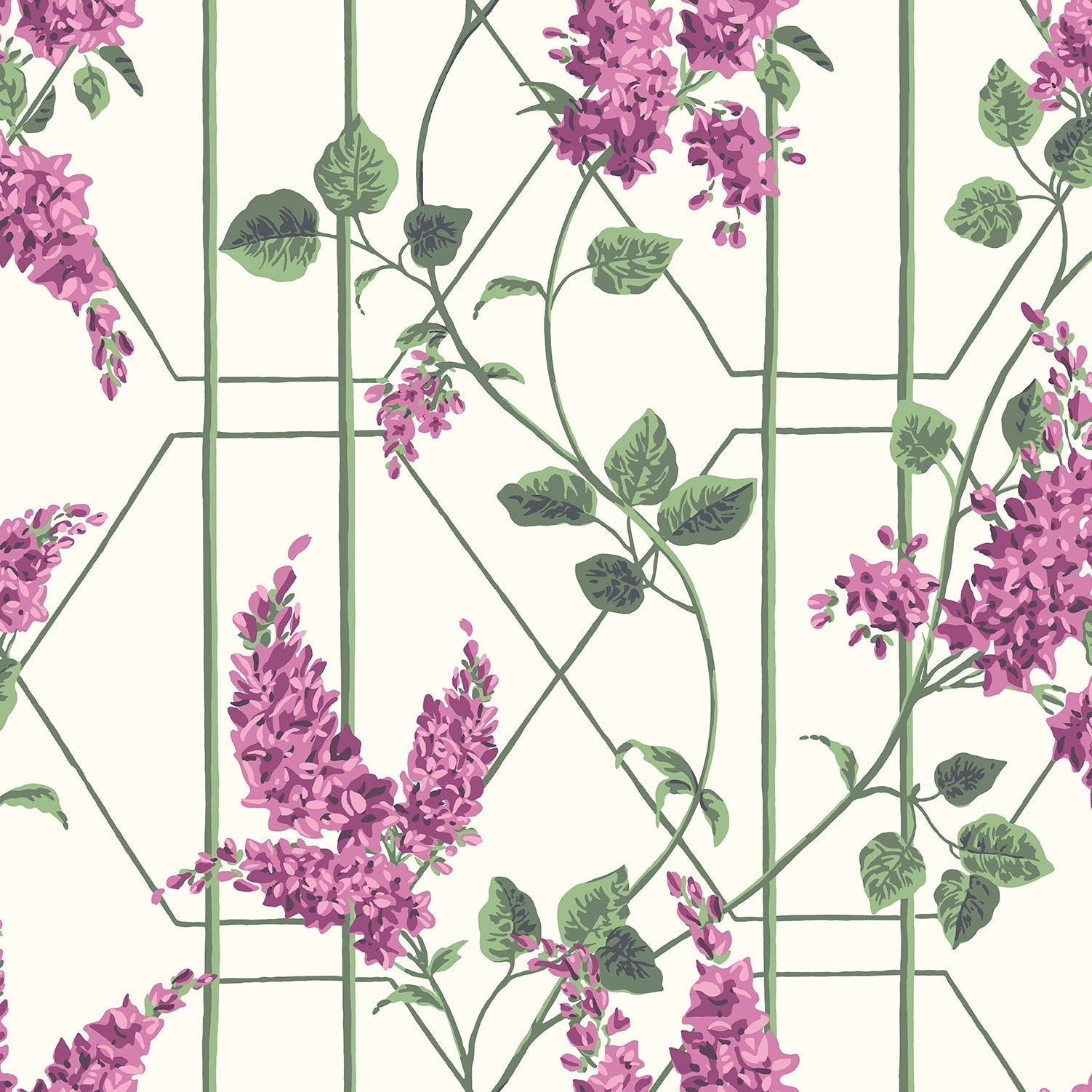 Cole & Son Wisteria - Magenta & Leaf Green on Chalk