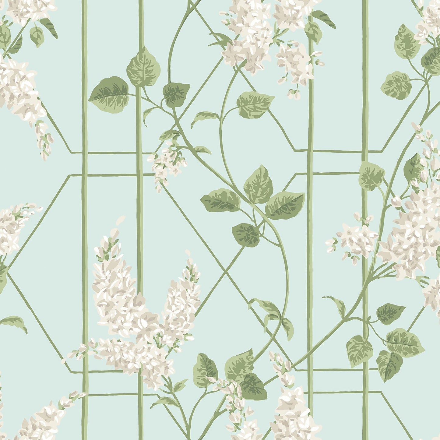 Cole & Son Wisteria - Stone & Olive on Duck Egg