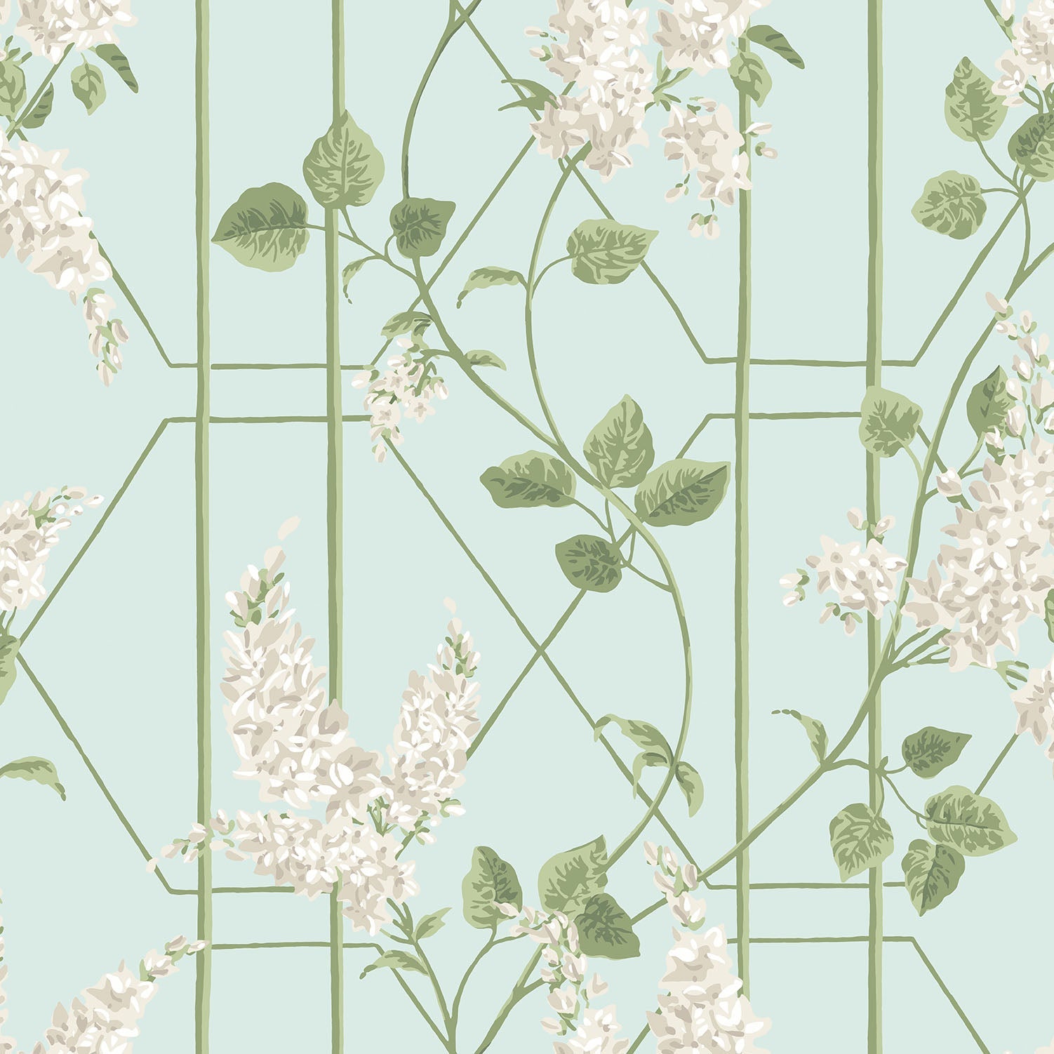 Cole & Son Wisteria - Stone & Olive on Duck Egg