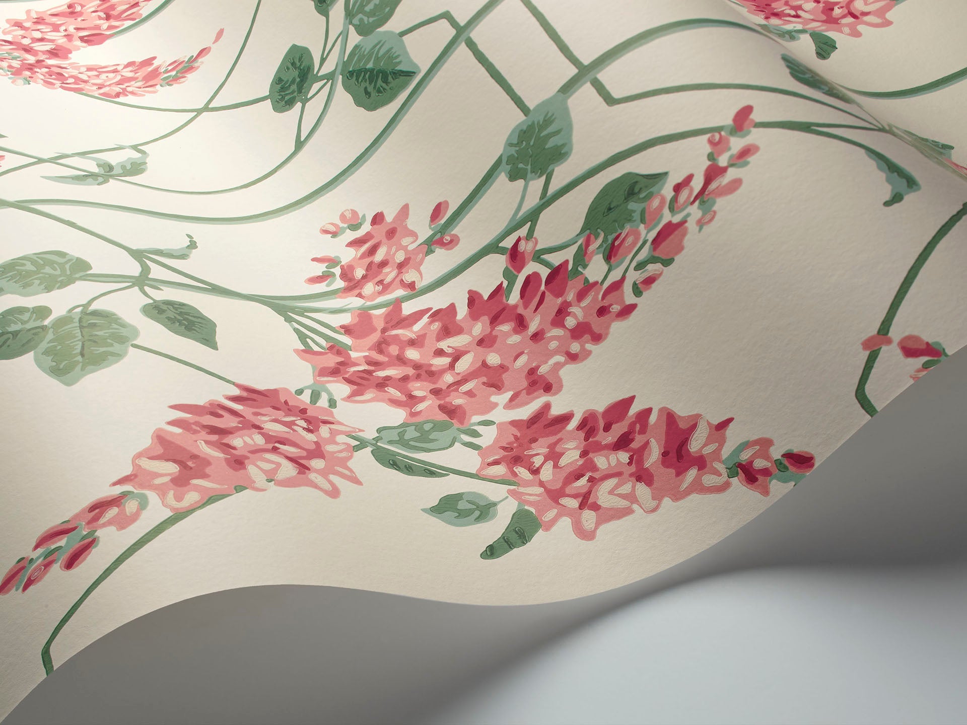 Cole & Son Wisteria - interior