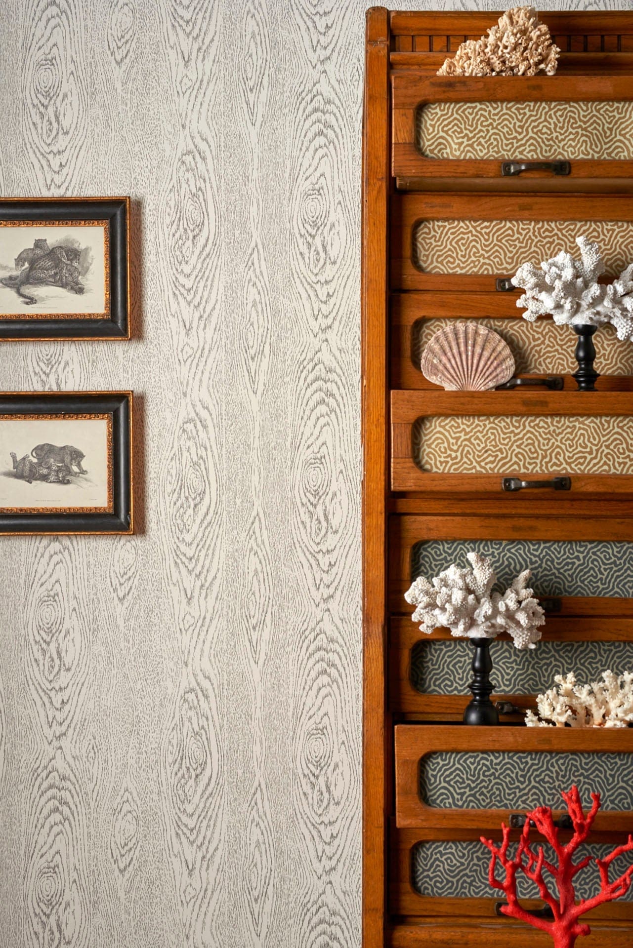 Cole & Son Wood Grain - interior