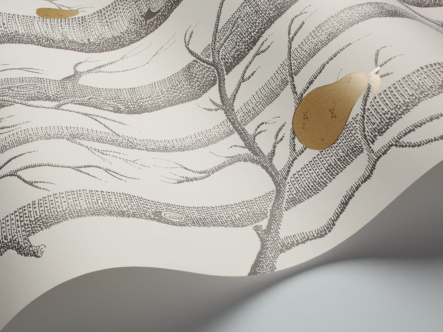 Cole & Son Woods & Pears - interior