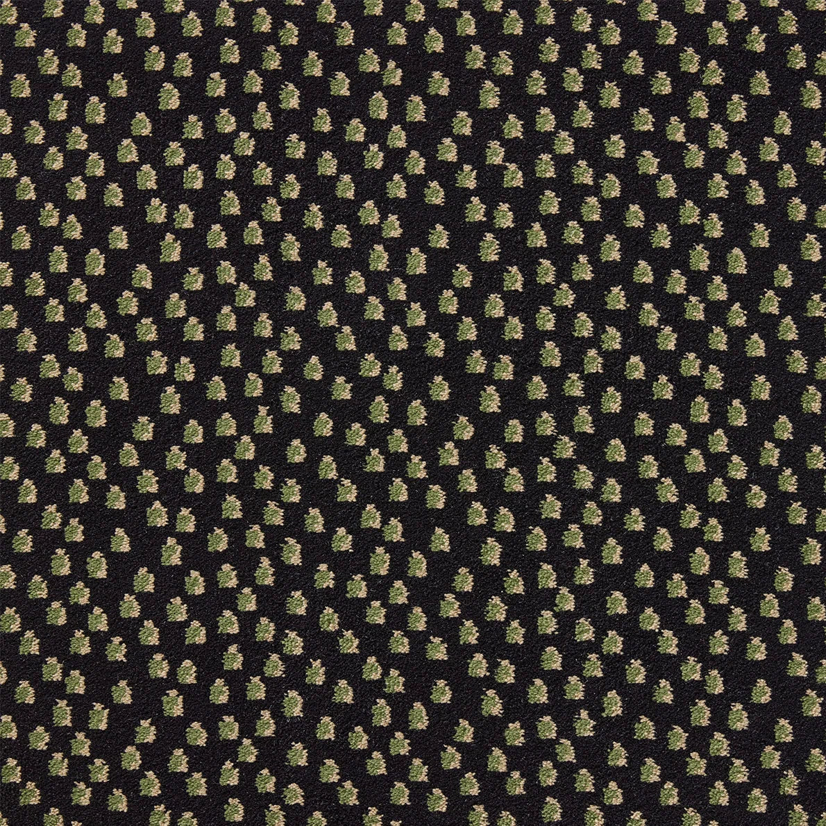 Pierre Frey Toile Africaine - Noir/Vert